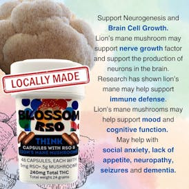 Blossom Think RSO & Lion's Mane Capsules 240mg