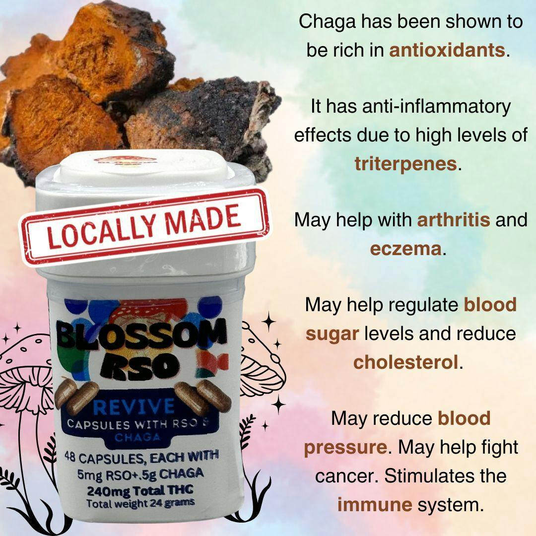 Blossom Revive: Chaga Mushrooms Only 48 Capsules