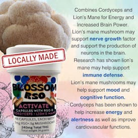 Blossom Activate RSO, Cordyceps, and Lion's Mane Mushroom Capsules 240mg