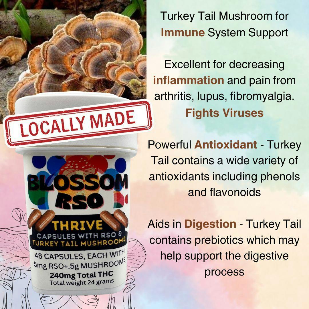 Blossom Thrive Turkey Tail Mushroom Only 48 Capsules