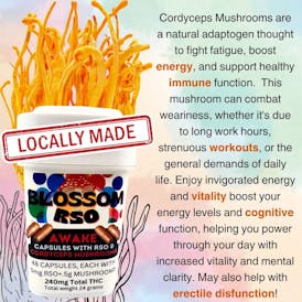 Blossom Awake Cordyceps Mushrooms 5mg RSO x 48 Capsules