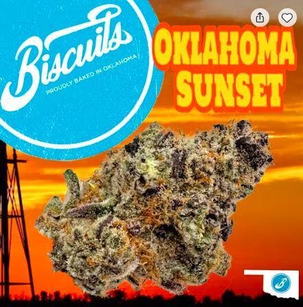 Biscuits | Oklahoma Sunset | Flower