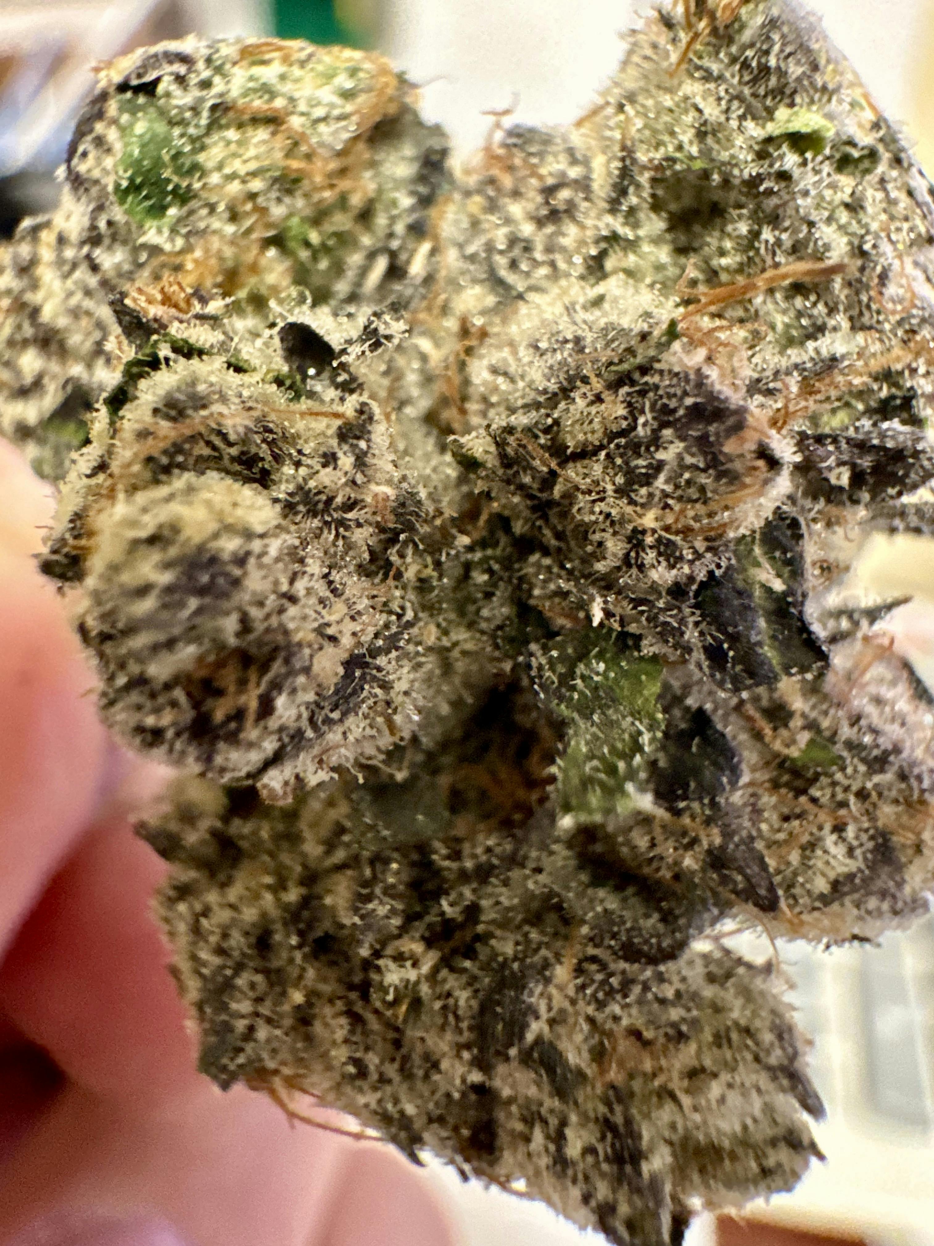 Jubel | Premium Pre-Packaged Buds | Mortal Kombat | 3.5 Grams