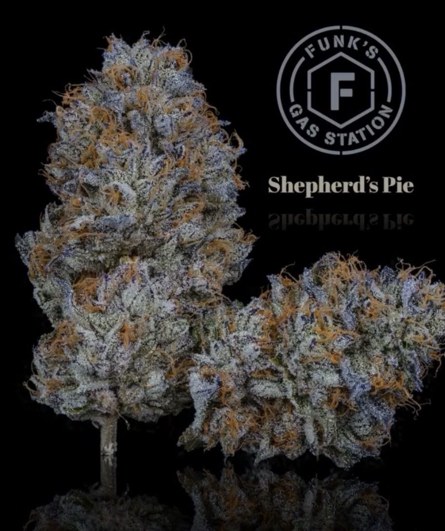 Shepherd's Pie by Funk's Gas Station Eighth