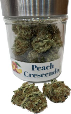 Peach Crescendo