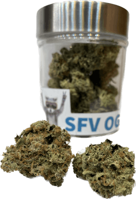 SFV OG