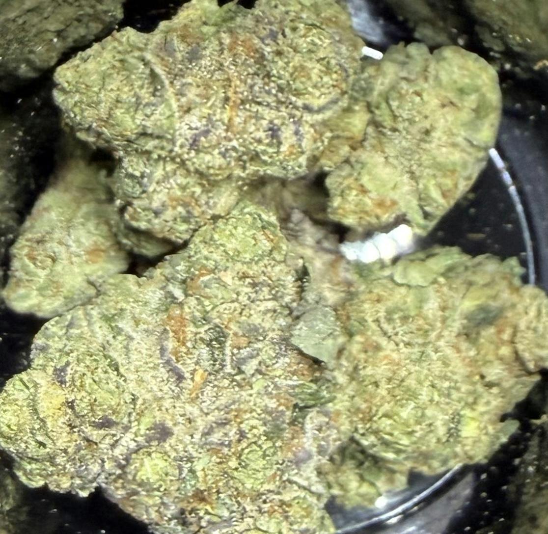 iCloud | 2.31% Terps