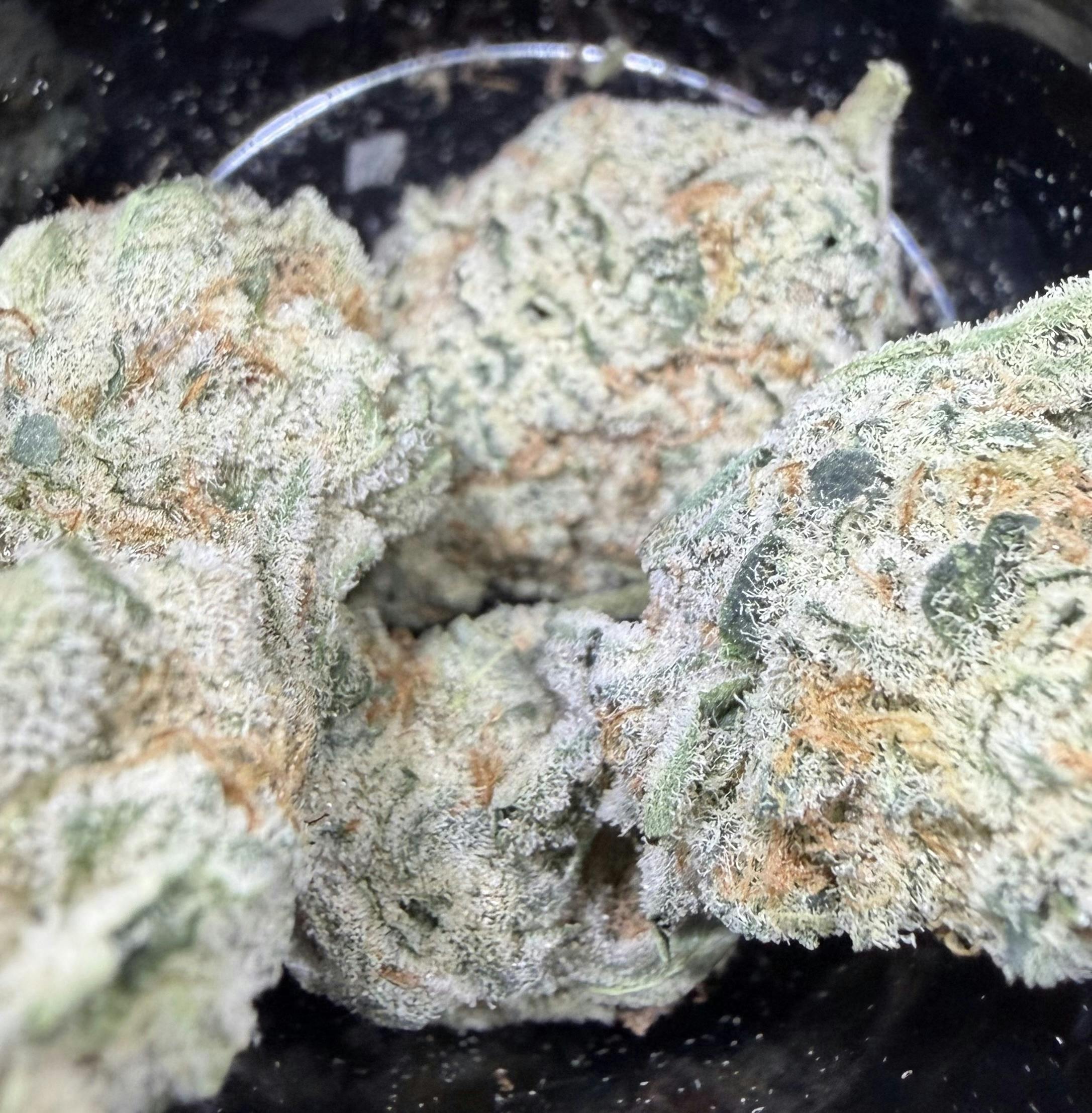 Platinum Jelly