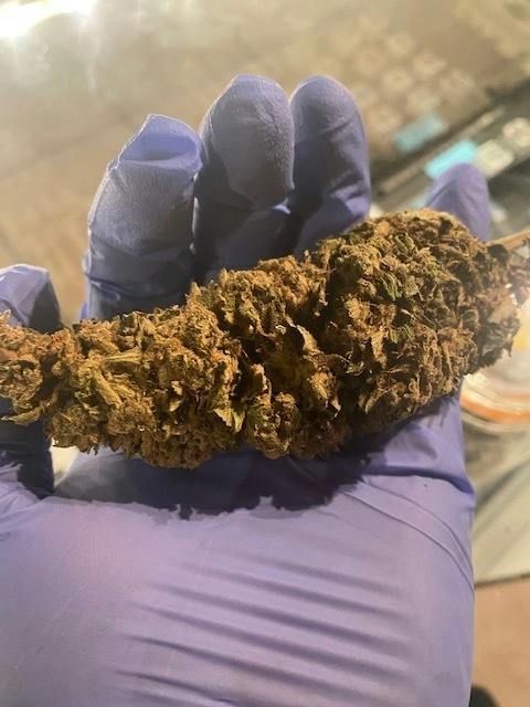 Cookies & Cream