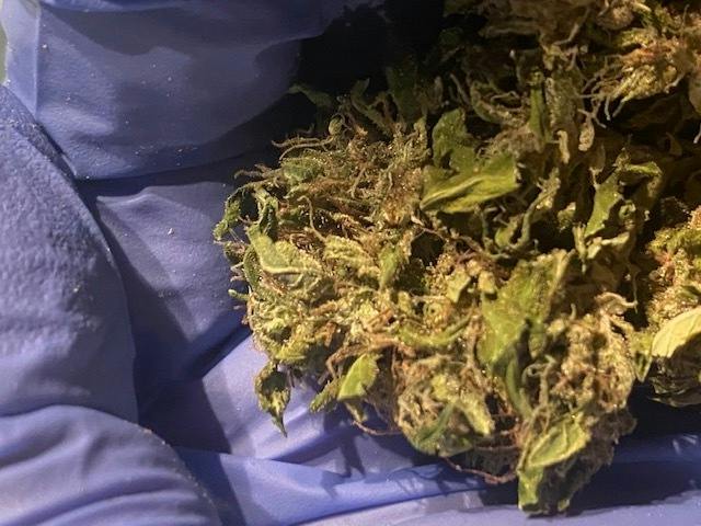 Red Diesel