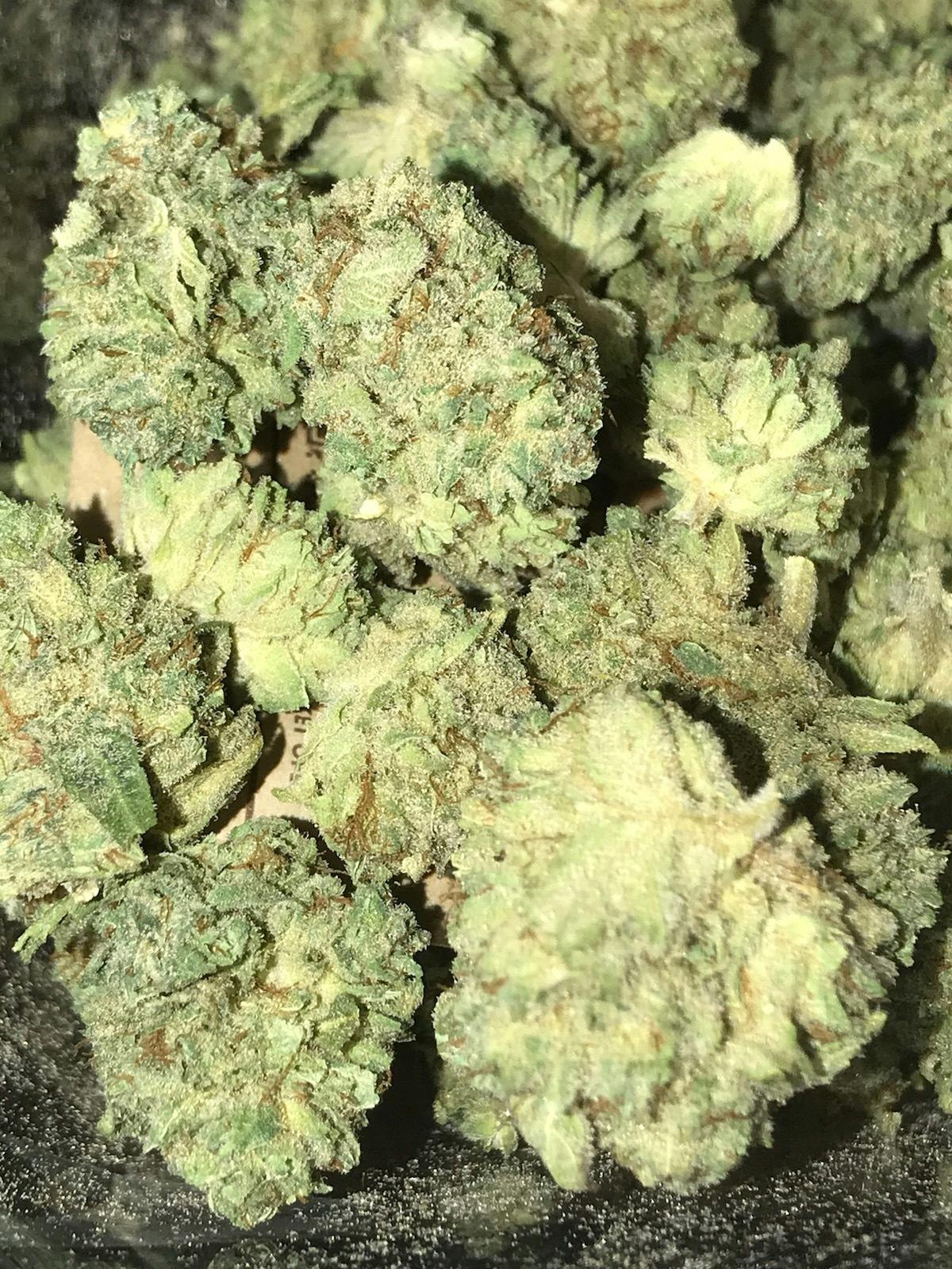 super silver haze