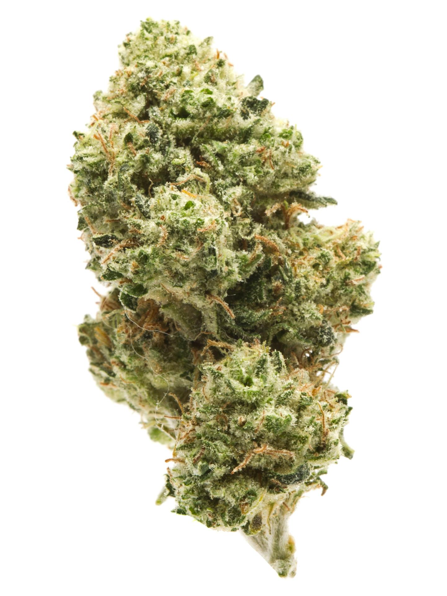 MMR LEMON SKUNK: MMR LEMON SKUNK 28G