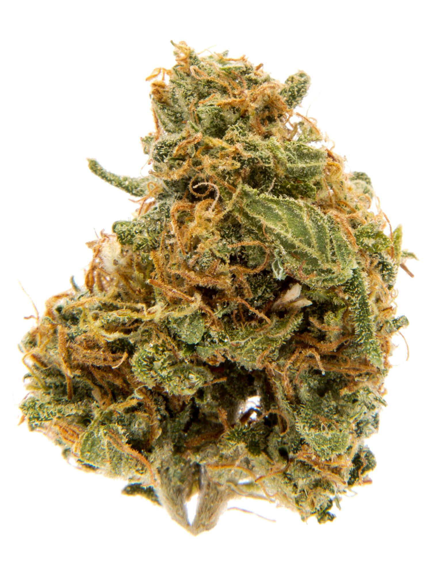 PARIS OG: PARIS OG 28G