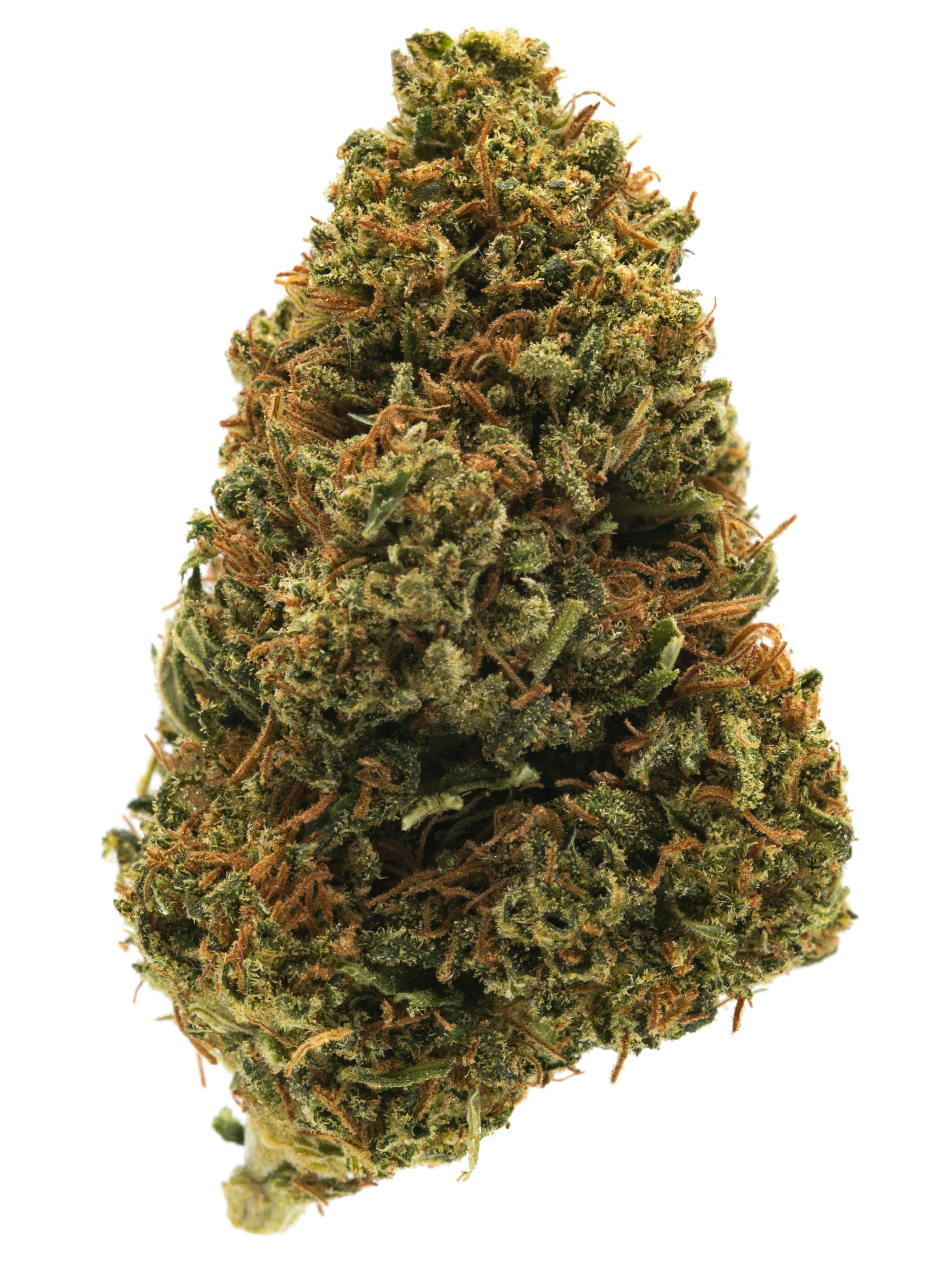 MMR - LEMON: Cherry Gelato
