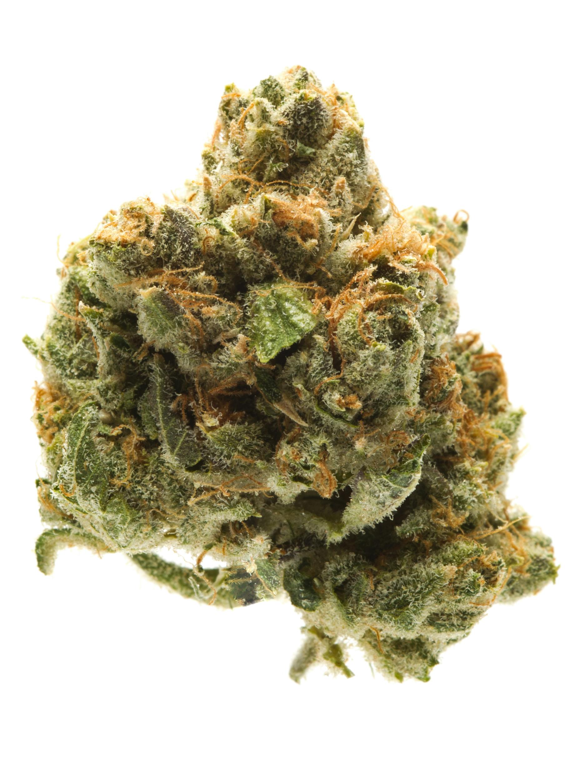 MMR - ALIEN: ALIEN OG 28G