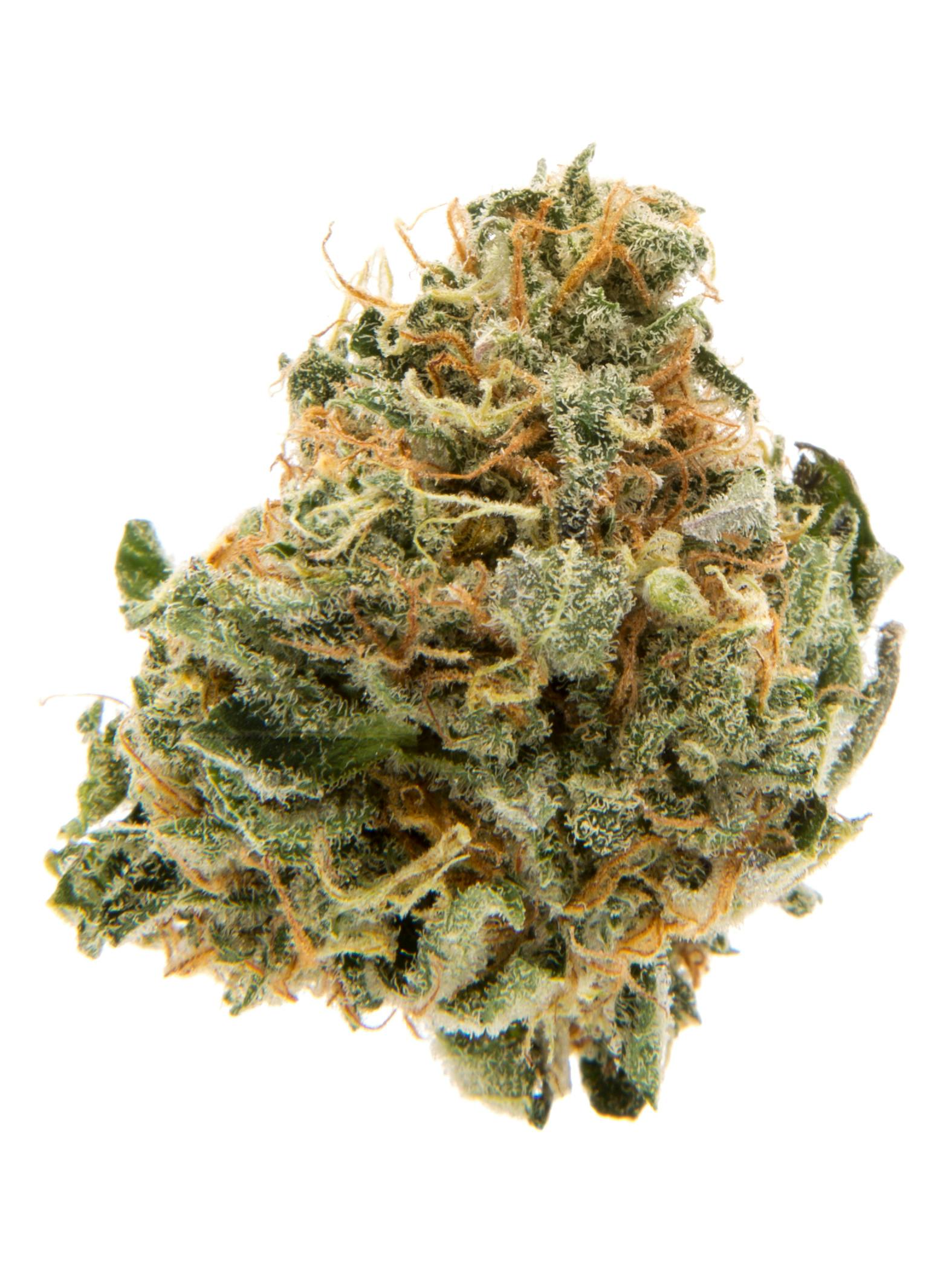 Animal Mints: ANIMAL MINTS 3.5G