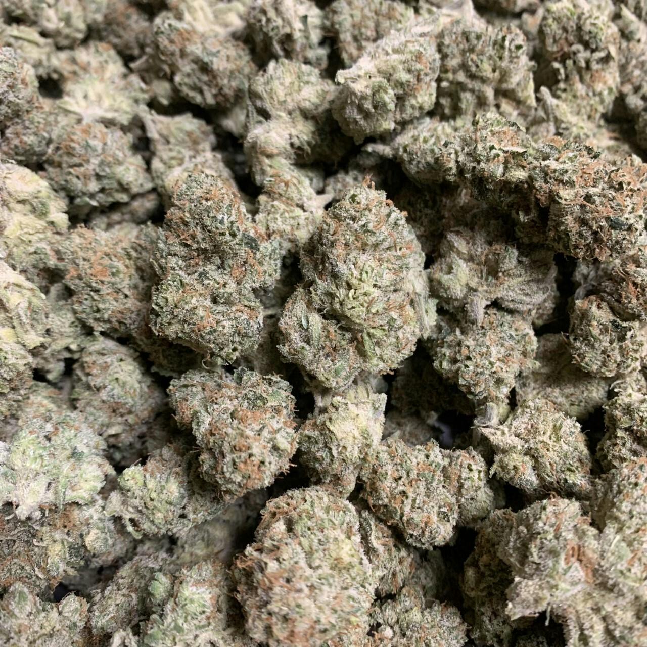 Apple Colada | Flower