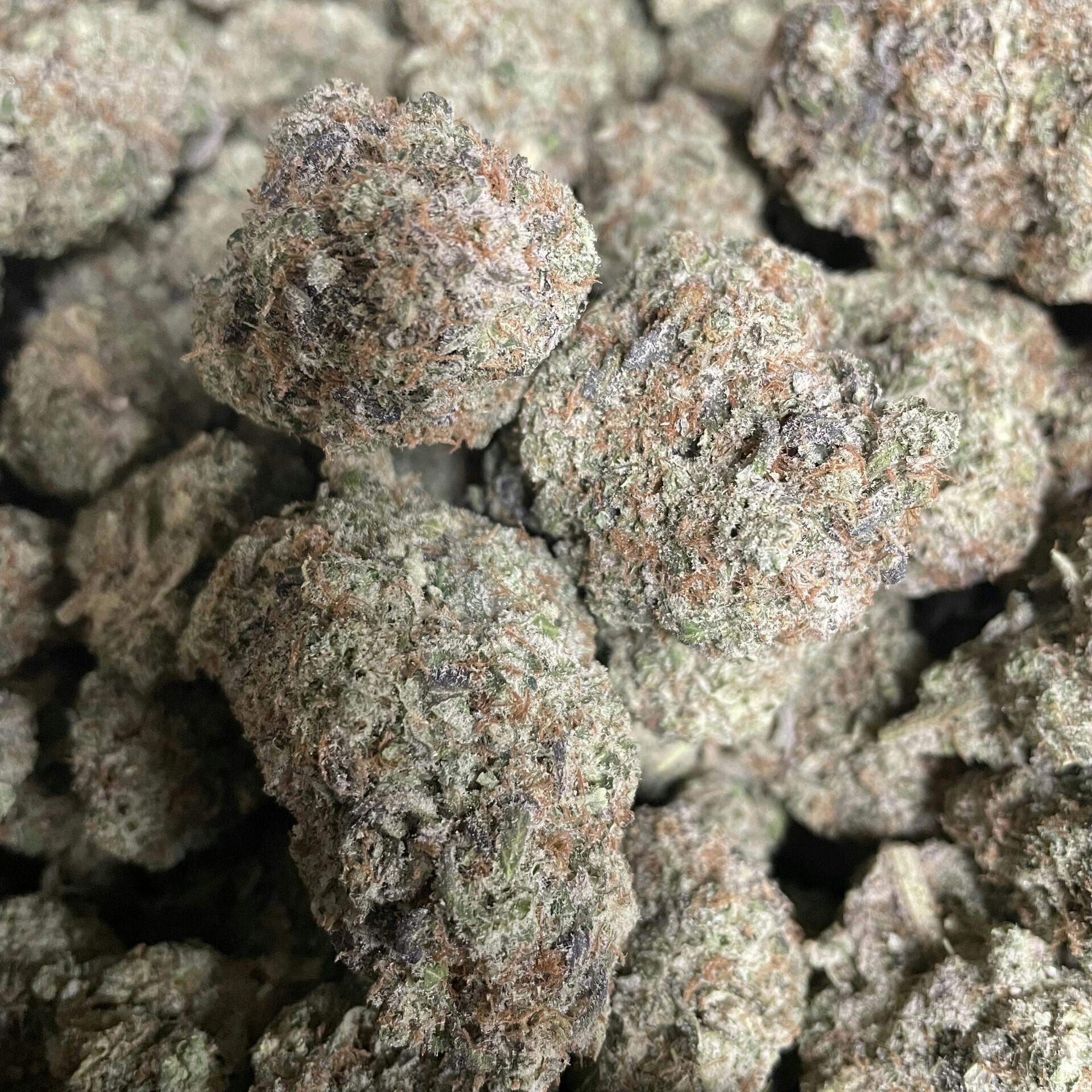 Lemon Ice Pucker | Flower