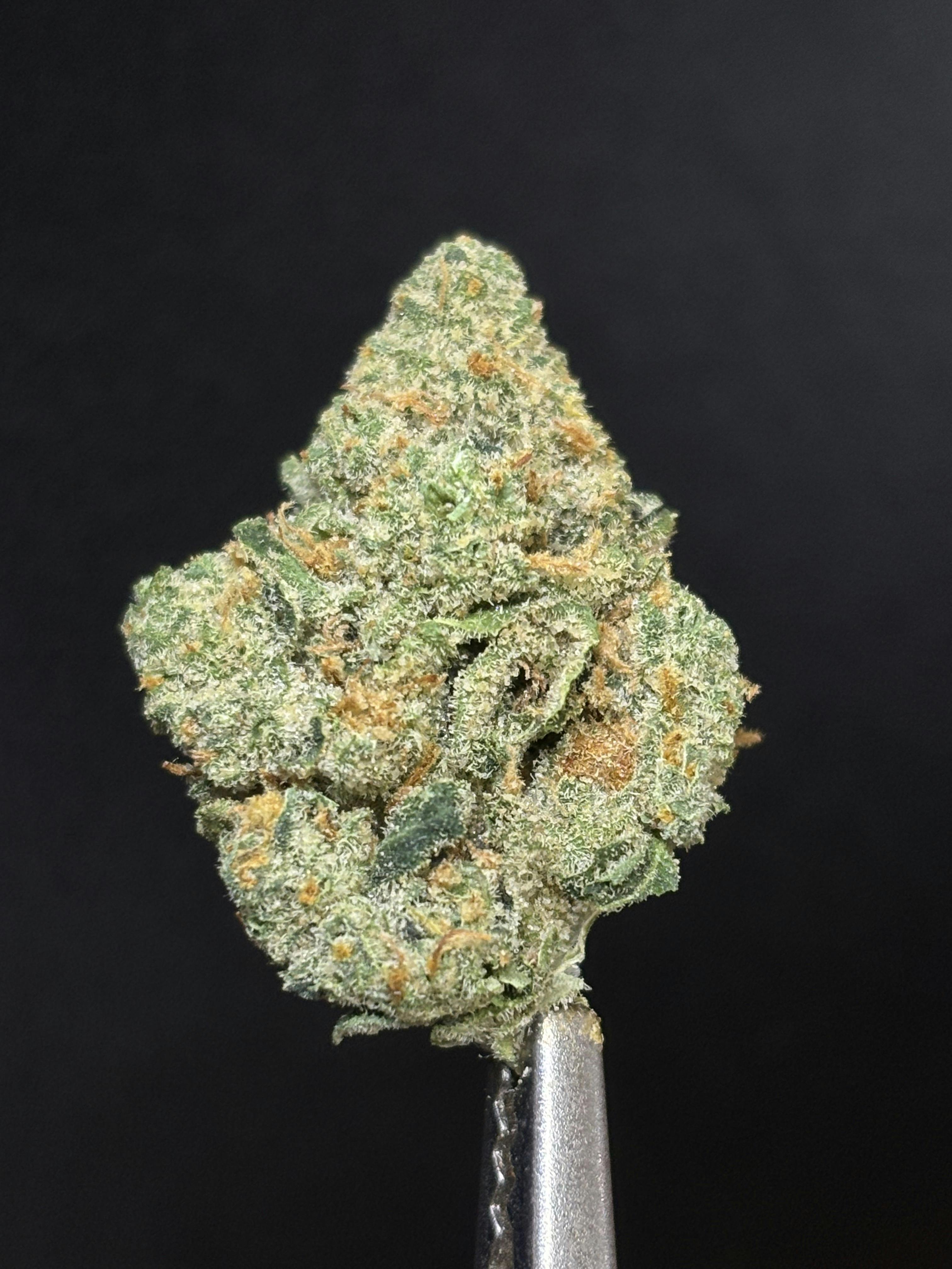Lemon Skunk | Buds | 3.5g