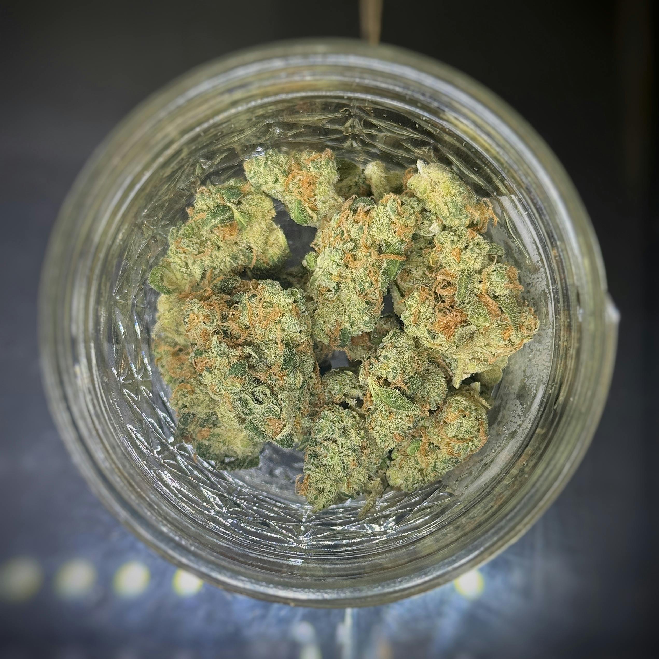 Sour Papaya *TIER 3* (TAX INCLUDED) Cult. 7 Leaf *PREPACK 1/4 OZ ONLY*