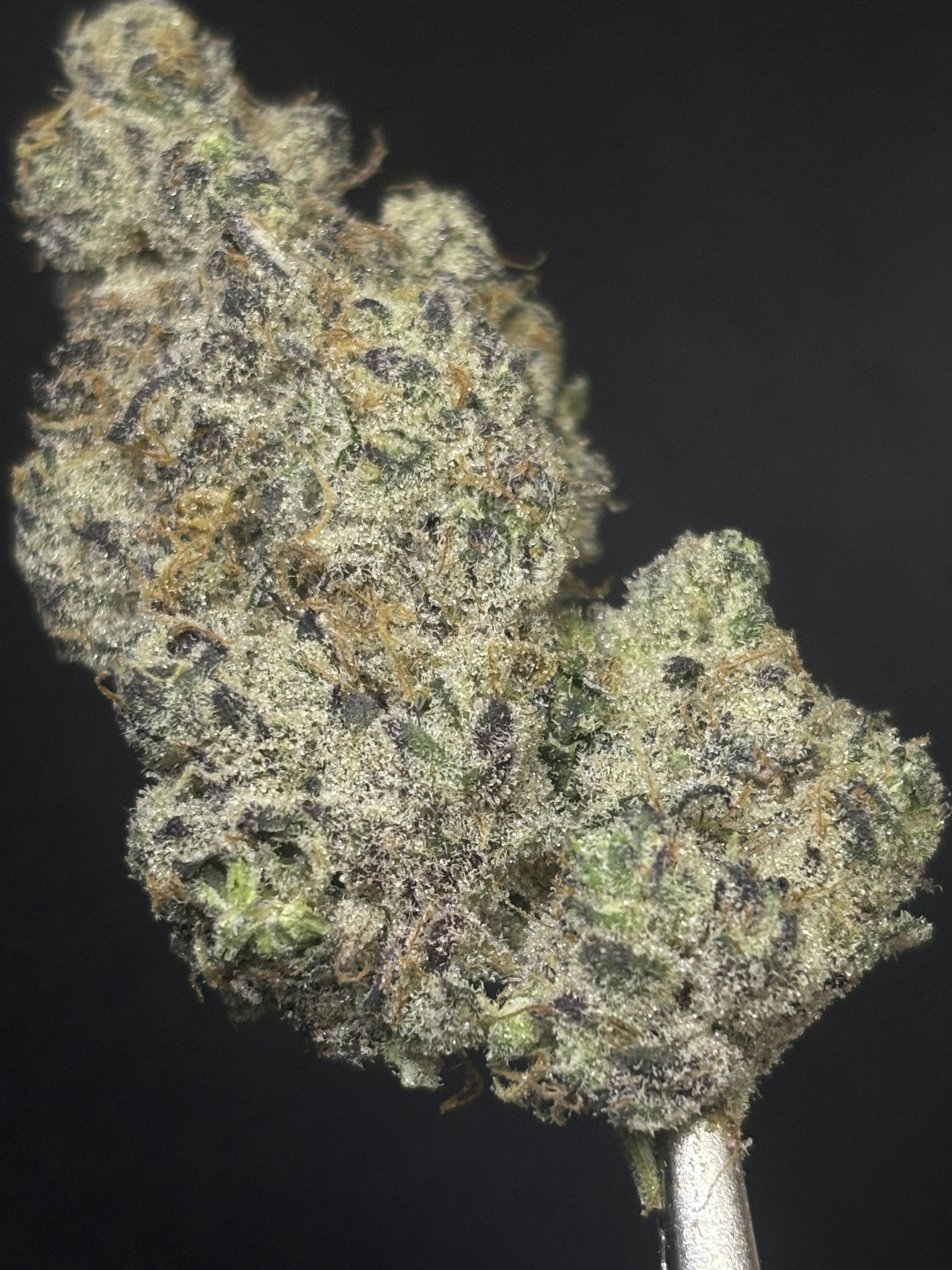 ALTVM | Hot Ice Cream | Flower | 3.5g by ALTVM