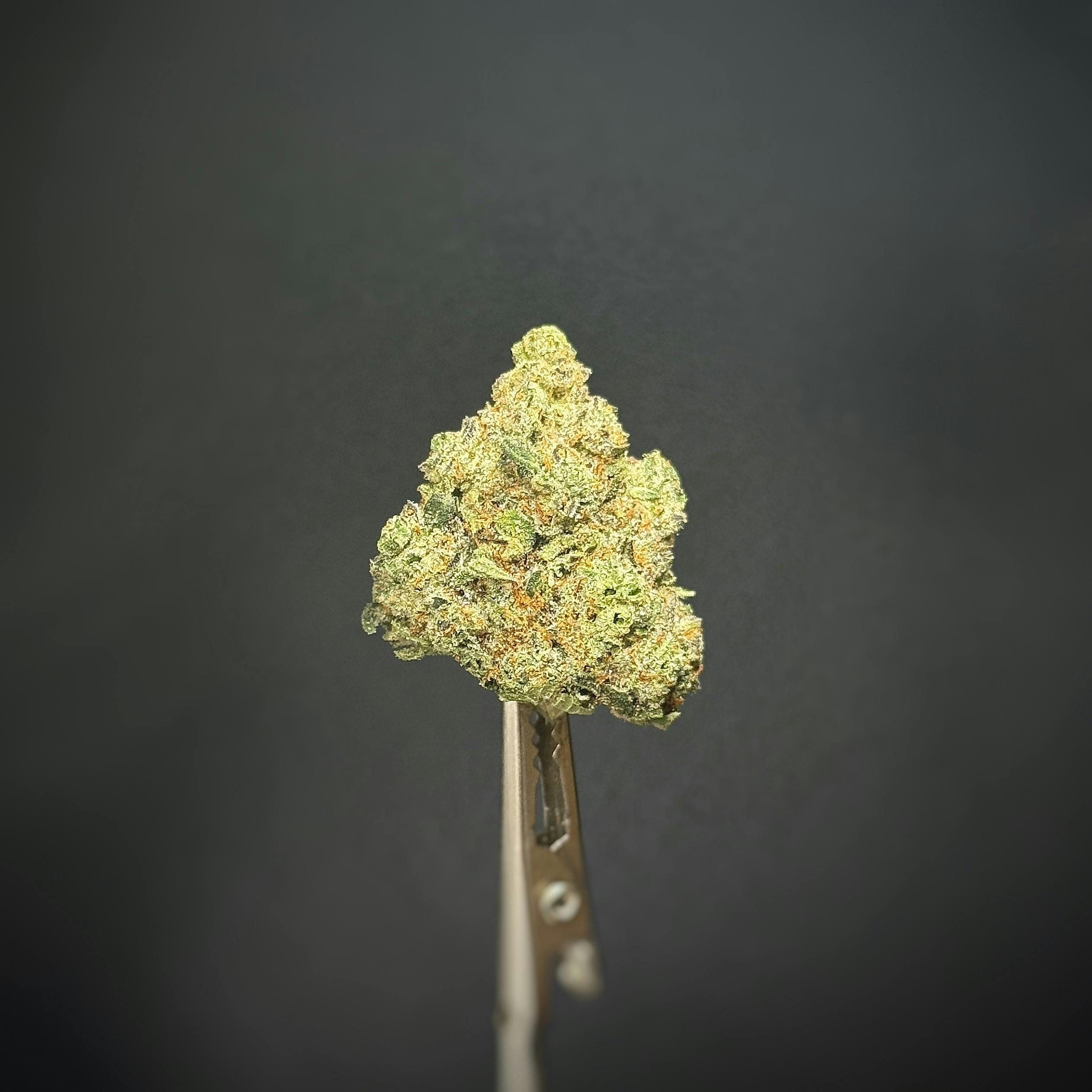 SHOKI *TIER 2* (TAX INCLUDED) Cult. Elite Cultivation **$15 1/8TH DEAL**$100 OZ DEAL