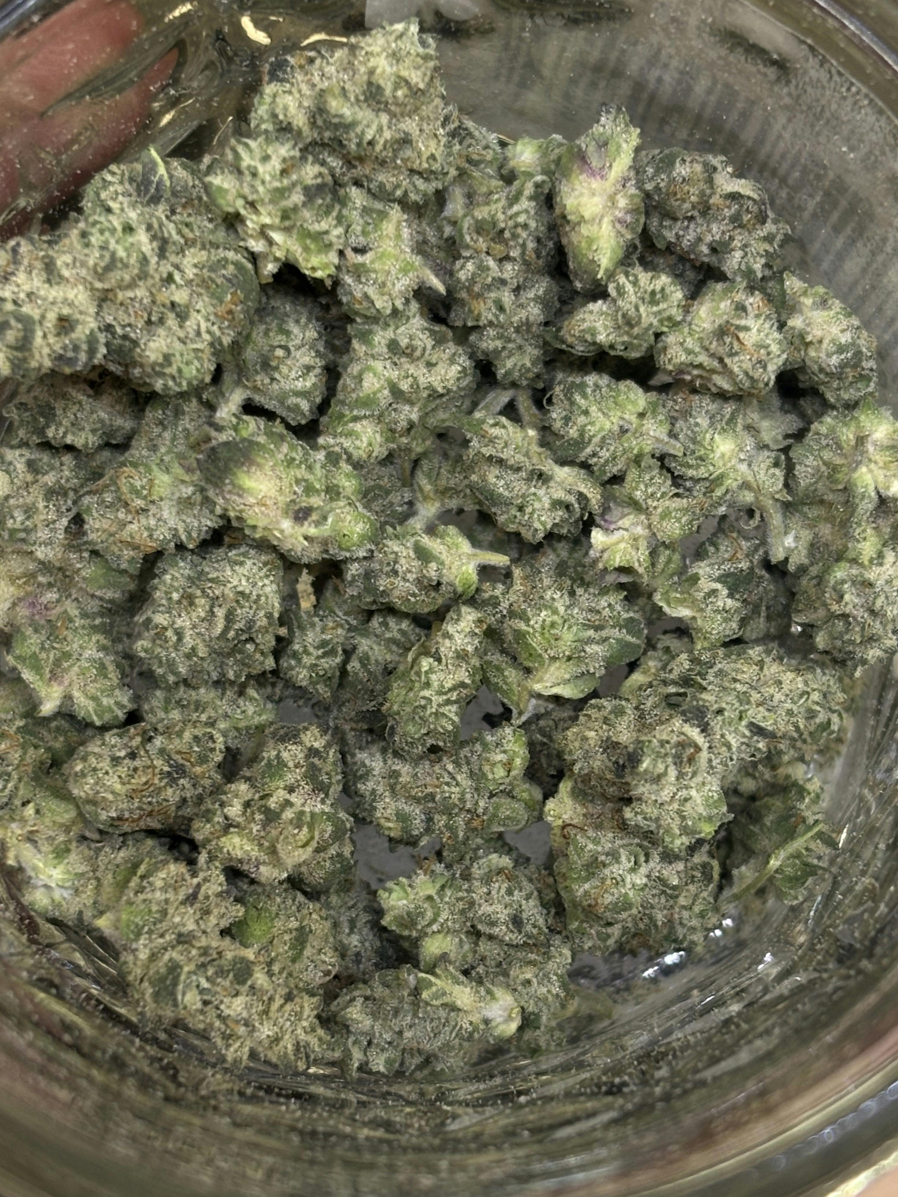 TRIPLE BURGER *TIER 3* (TAX INCLUDED) Cult. 7 Leaf * ( PREPACKED 1/4s ONLY )
