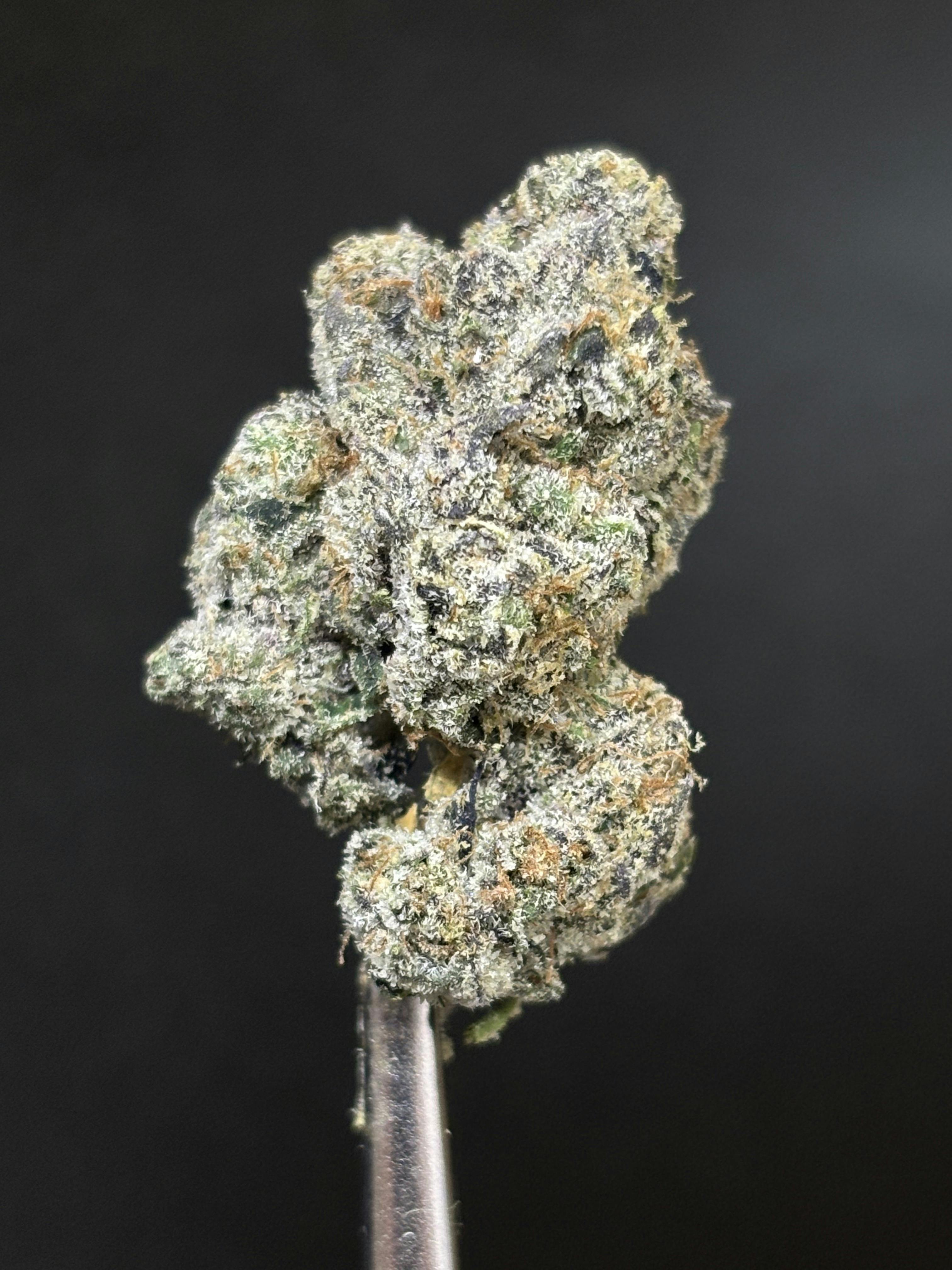 WHITE TAFFY *TIER 1* (TAX INCLUDED) Cult. DREWSY *PREPACKAGED 1/8THS*