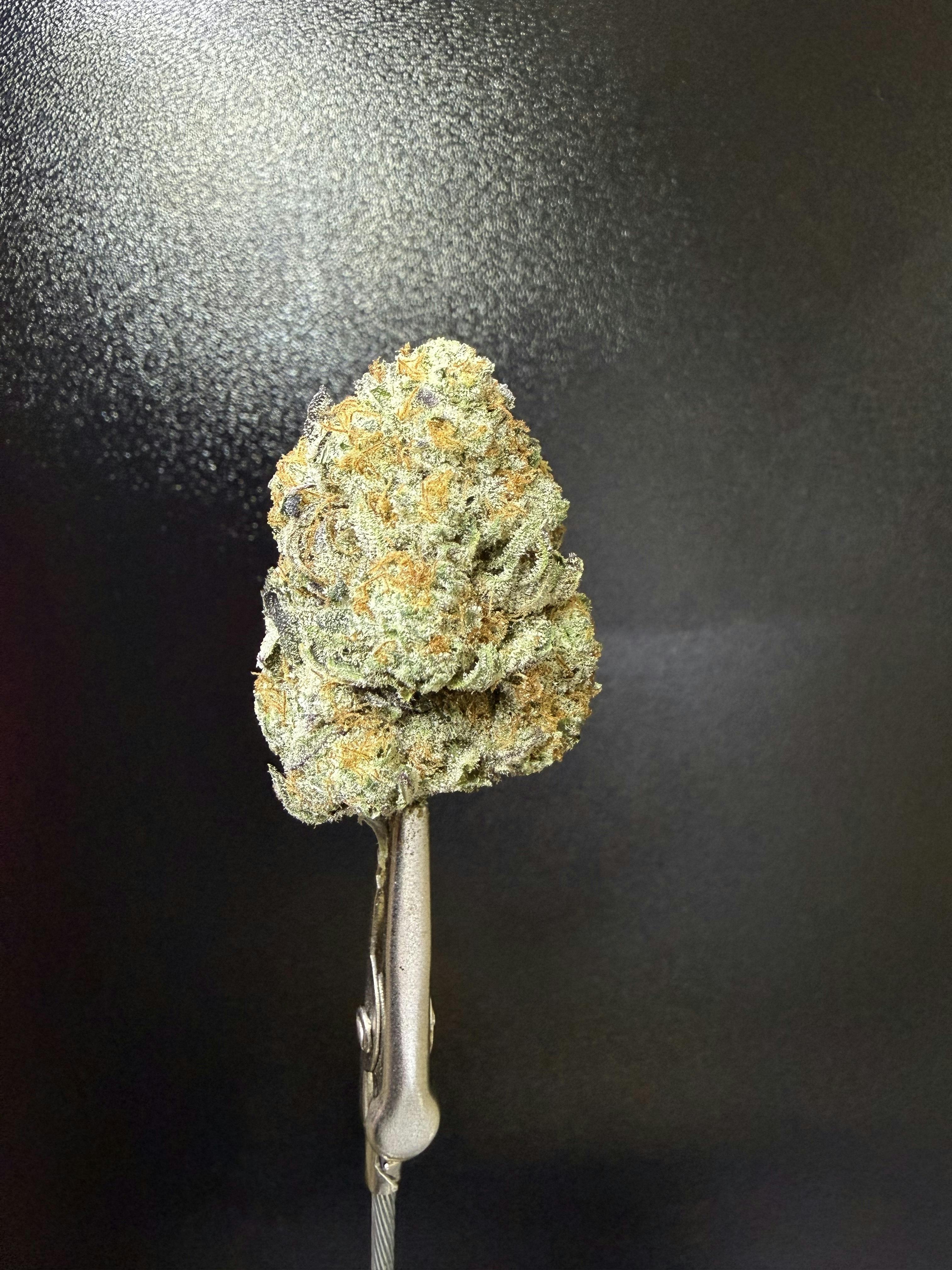 CRUNCH BERRIES X RUNTZ *TIER 1* (TAX INCLUDED) Cult. DREWSY *PREPACKAGED 1/8THS*
