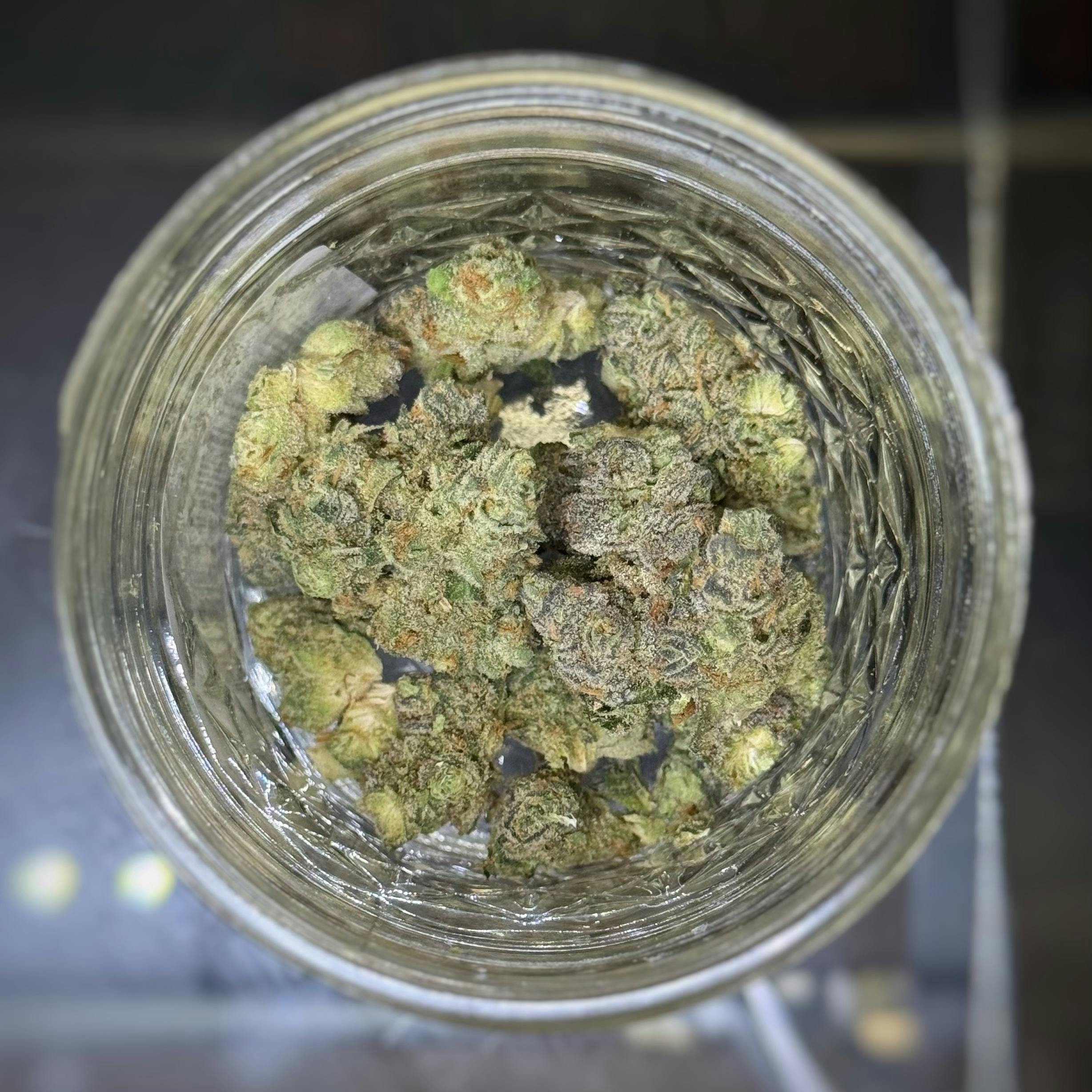 APPLE FRITTER *TIER 3* (TAX INCLUDED) Cult. 7 Leaf (PREPACK 1/4 OZ ONLY)