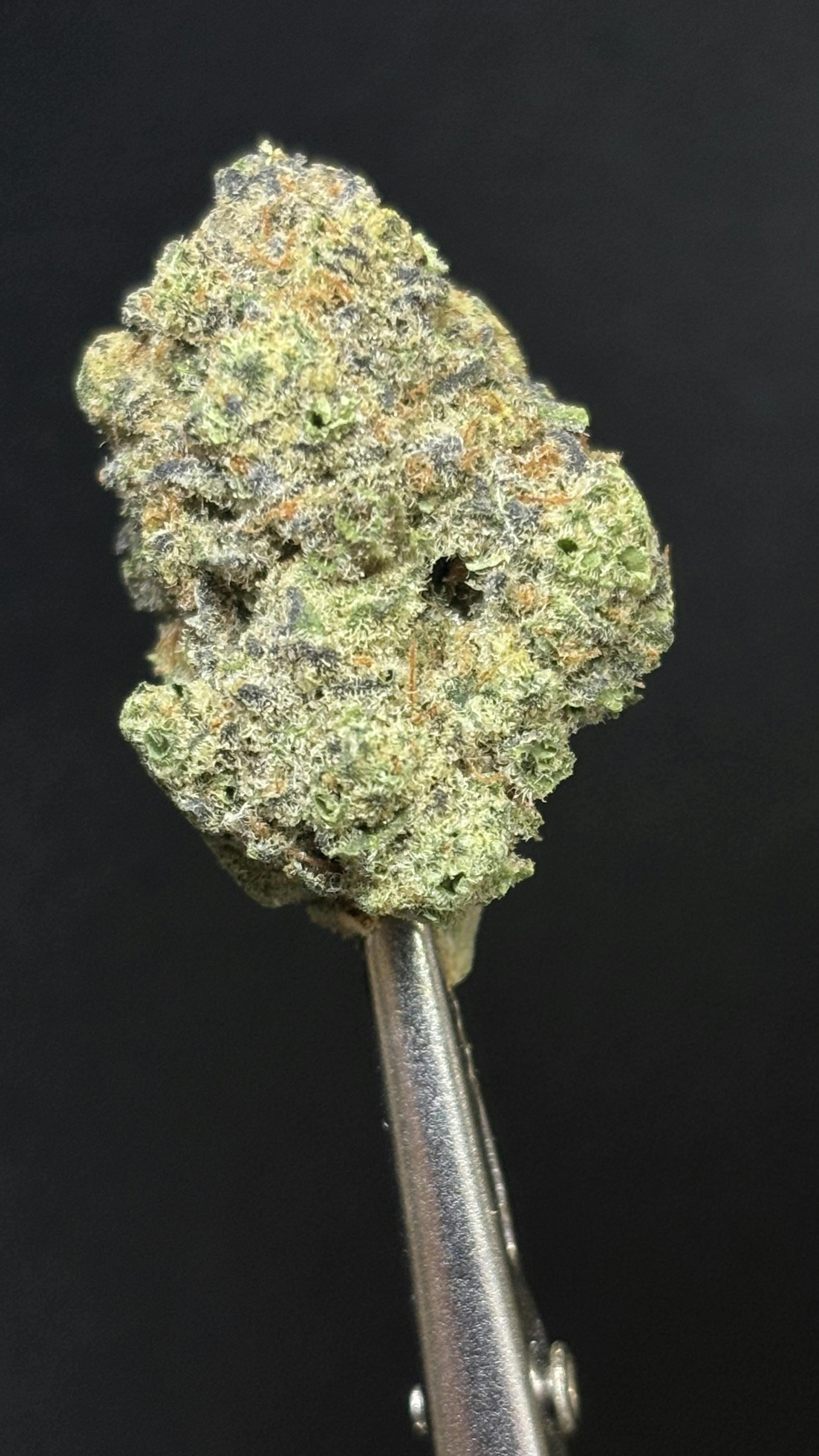 SUPER LEMON MAC *TIER 2* (TAX INCLUDED) Cult. Elite Cultivation