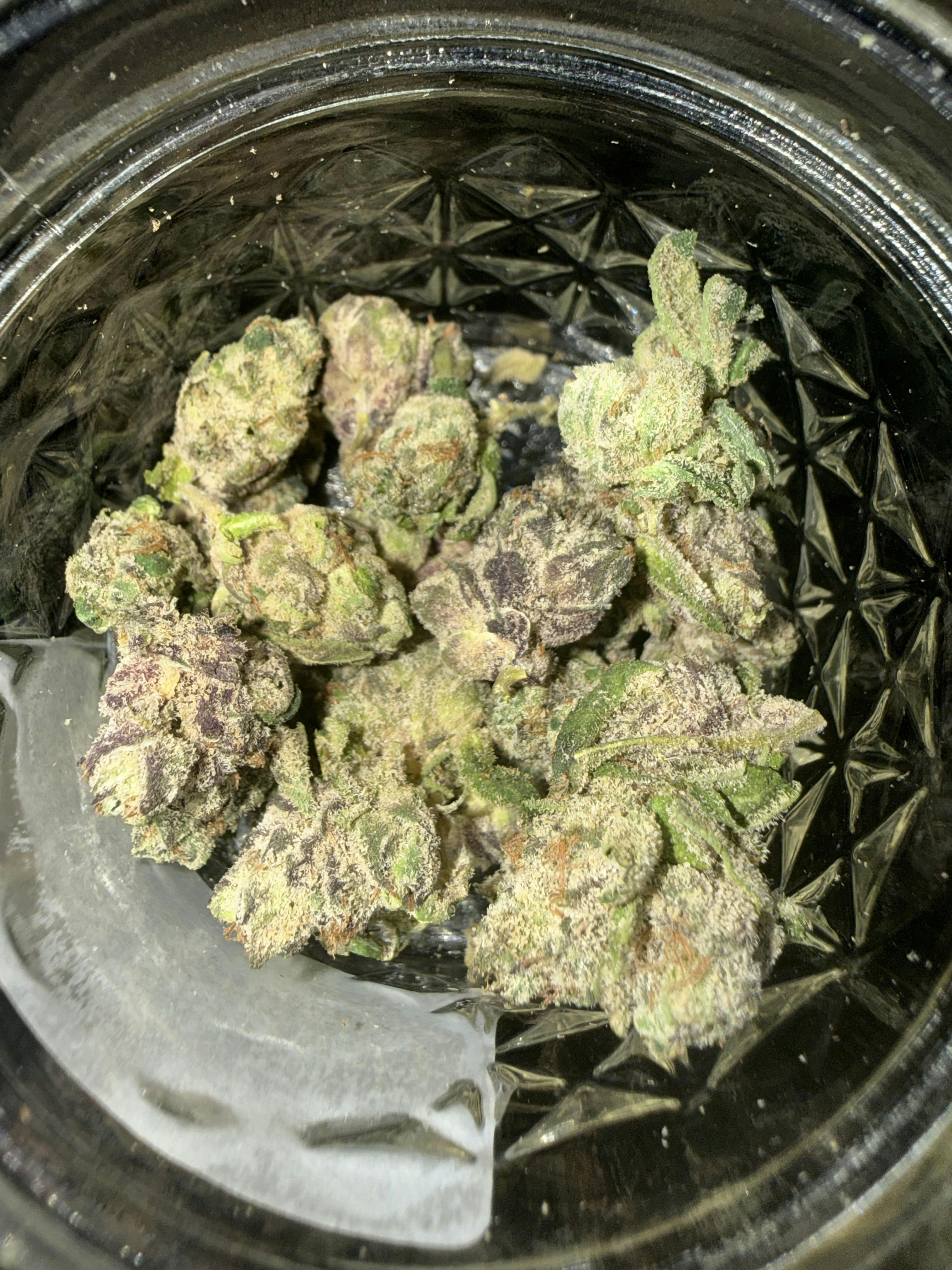 COSMIC BROWNIE *TIER 3* (TAX INCLUDED) Cult. Jakes Jungle *SOLD IN OZ ONLY*