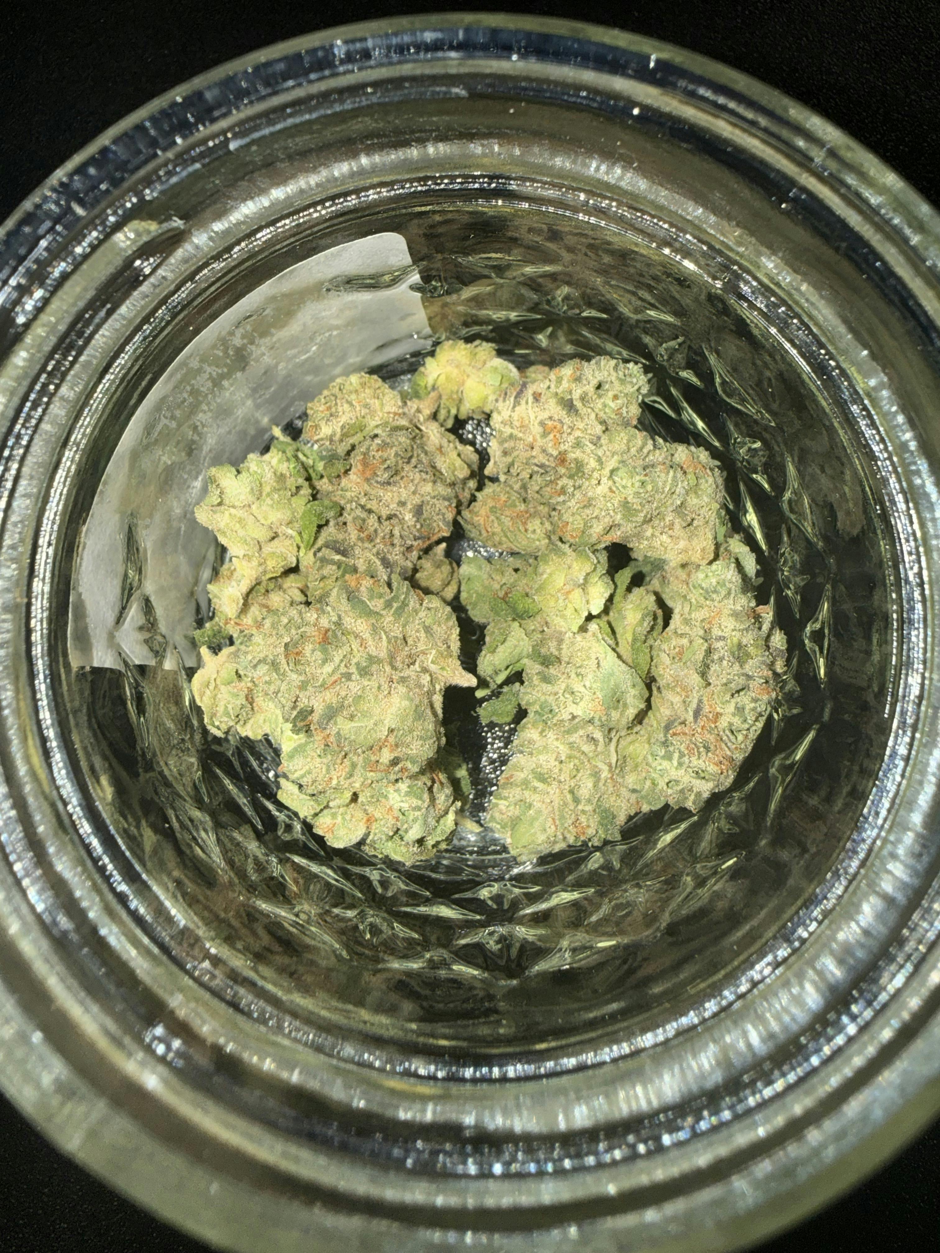 JUICE BOX *TIER 3* (TAX INCLUDED) Cult. Jakes Jungle *SOLD IN OZ ONLY*