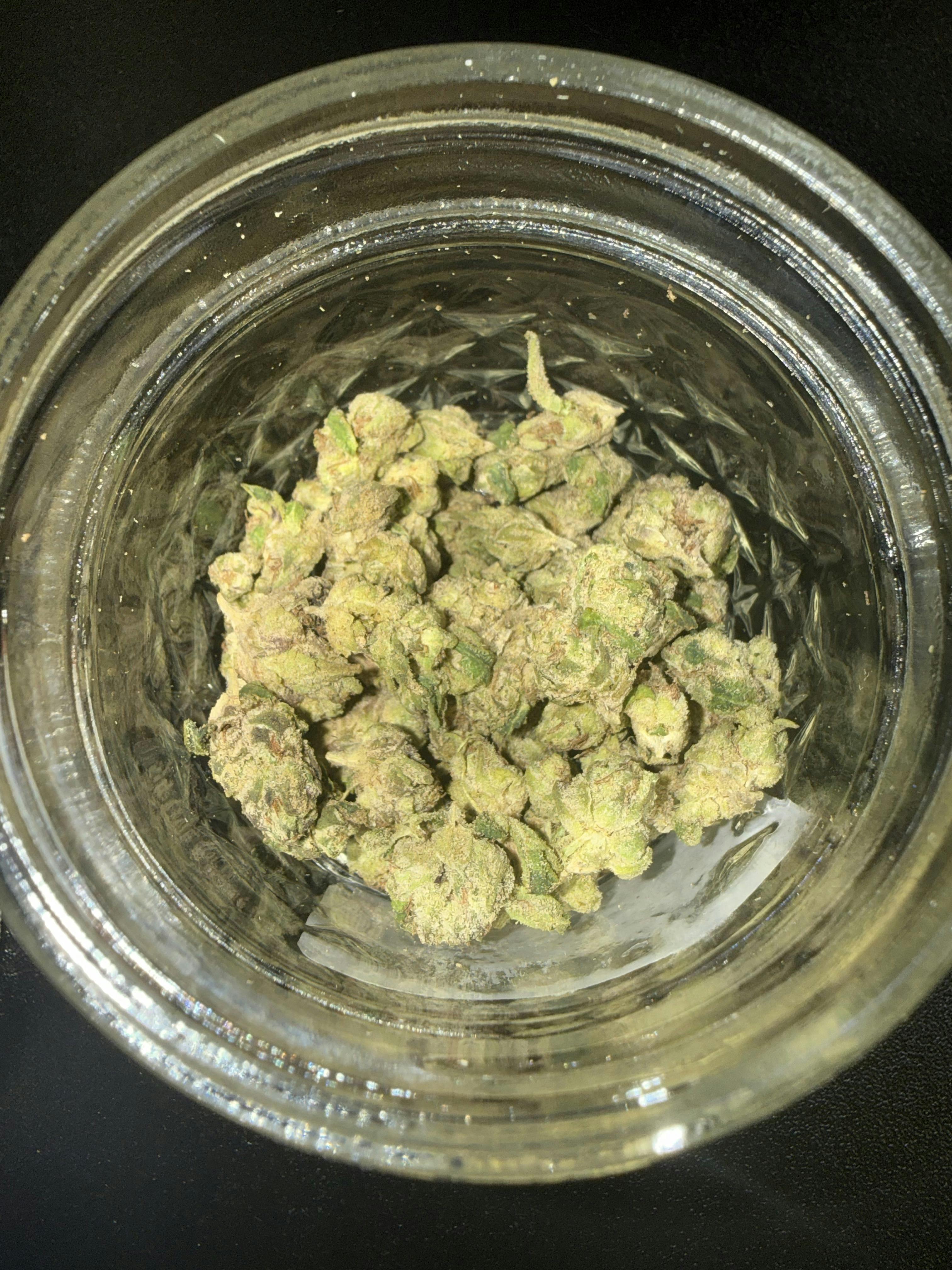 SOUR PUNCH *TIER 3* (TAX INCLUDED) Cult. Jakes Jungle *SOLD IN OZ ONLY*