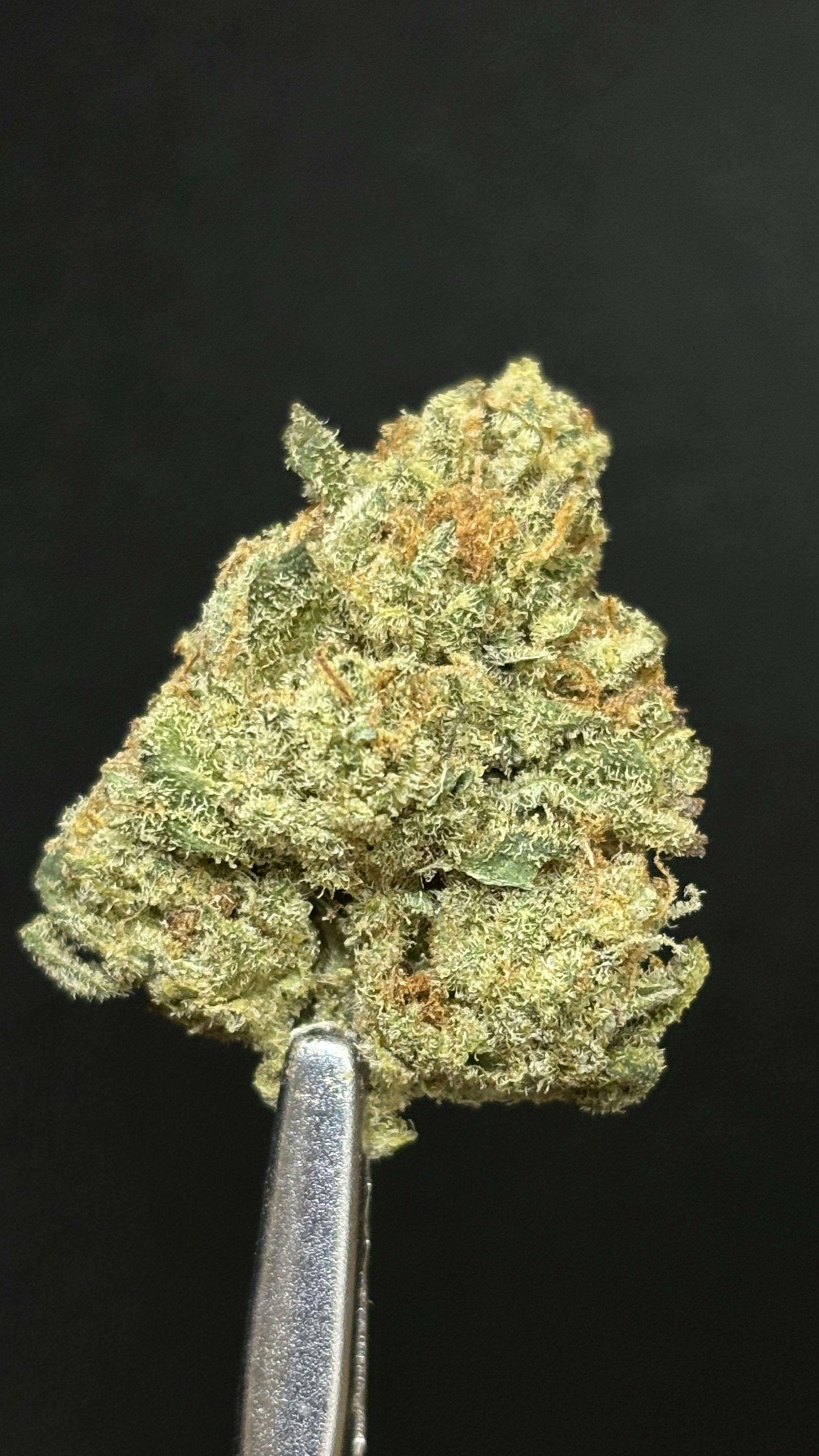 RAMBUTAN *TIER 1* (TAX INCLUDED) Cult. Okie Cultivator