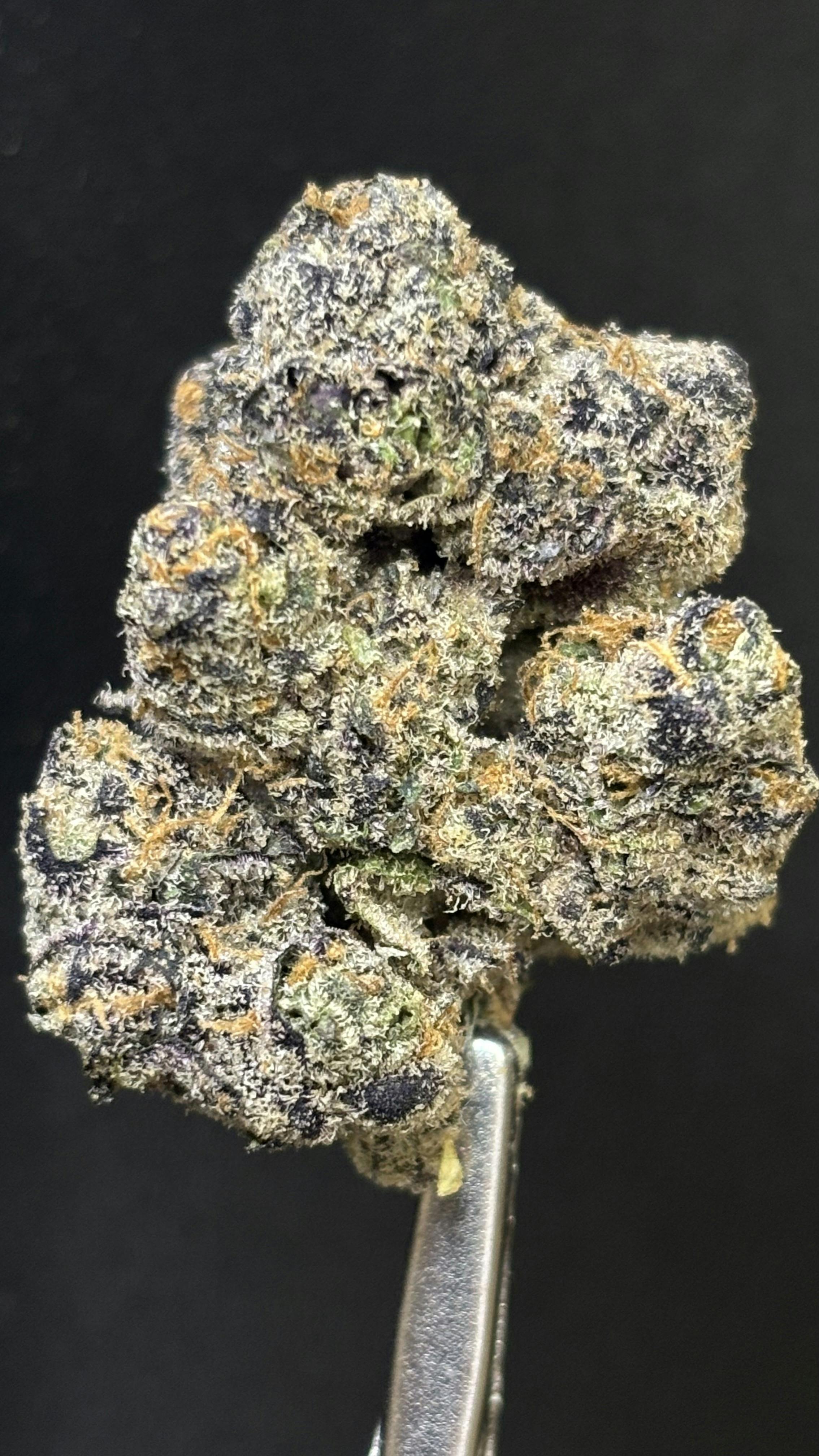 BURN OUT *TIER 1* (TAX INCLUDED) Cult. Okie Cultivator