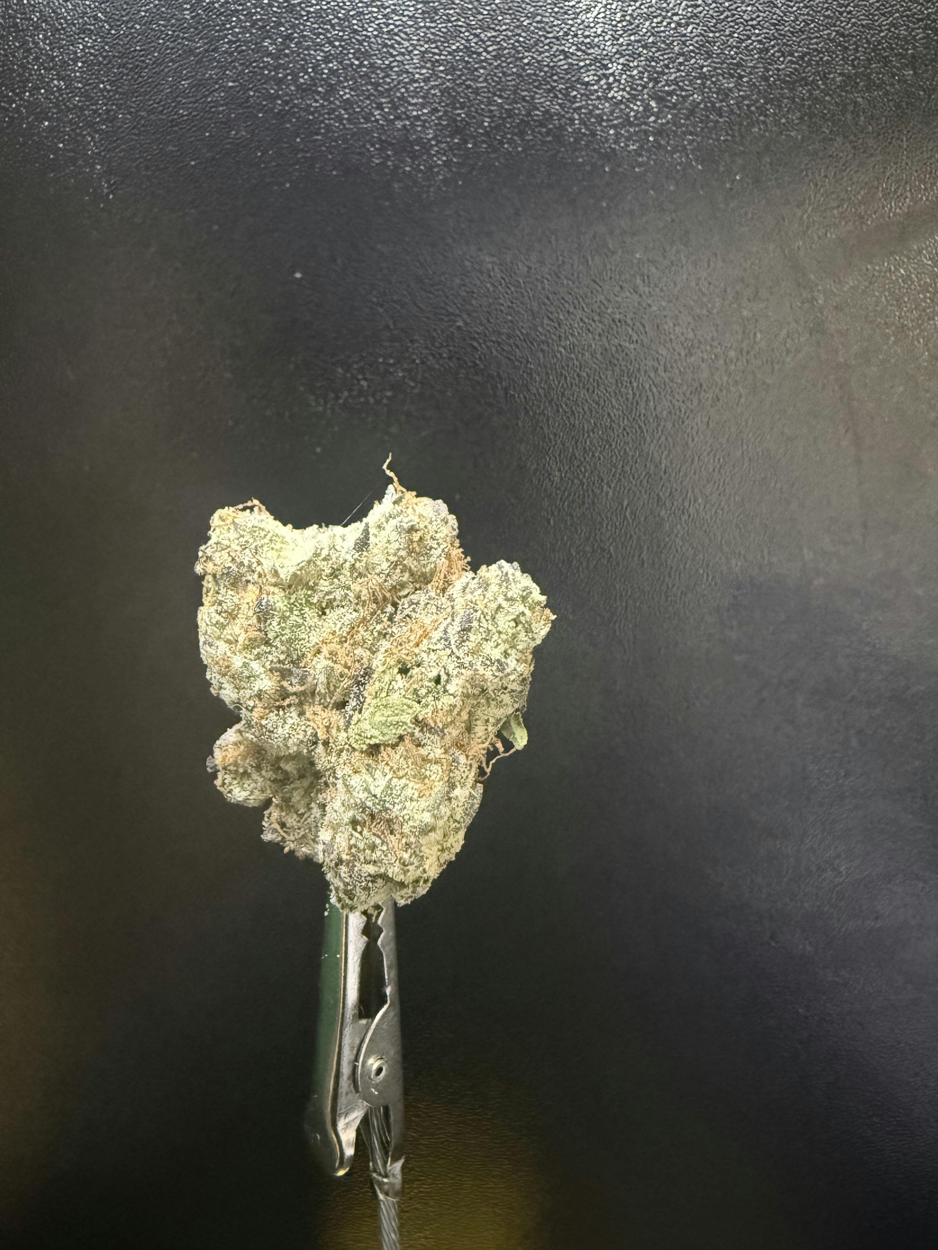 PURE ENVY *TIER 2* (TAX INCLUDED) Cult. Grow United Farms