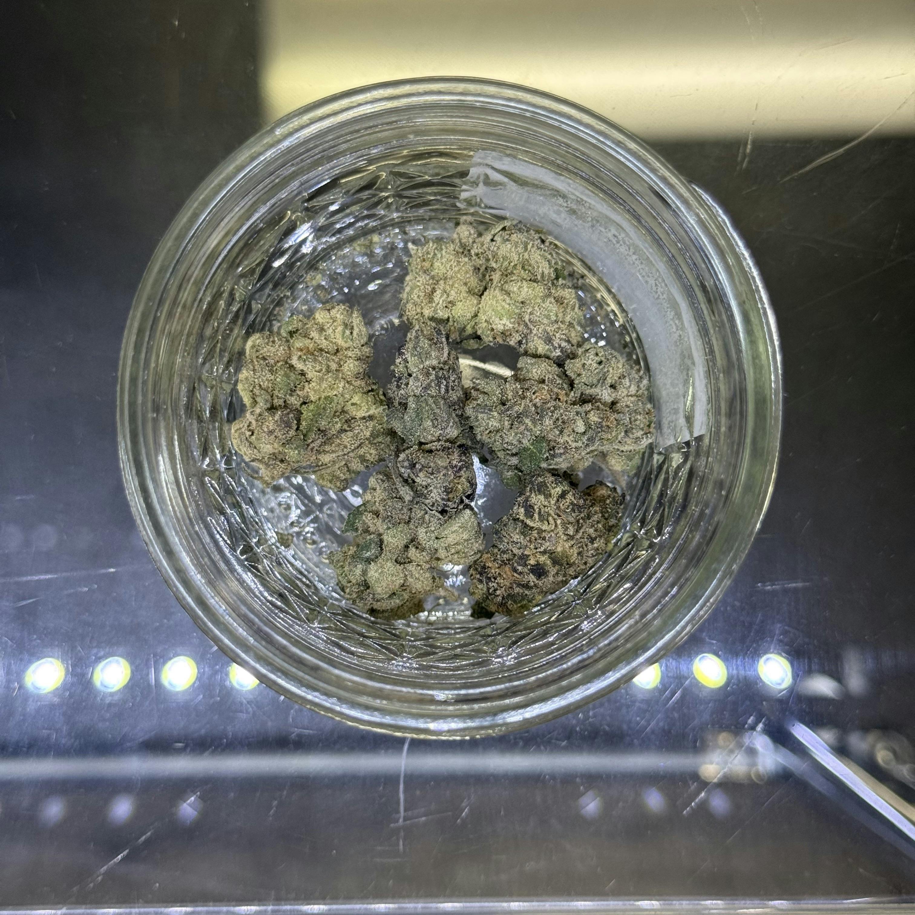 M.O.B. *TIER 3* (TAX INCLUDED) Cult. Noble Cannabis *PACKAGED IN 1/4 OZ*
