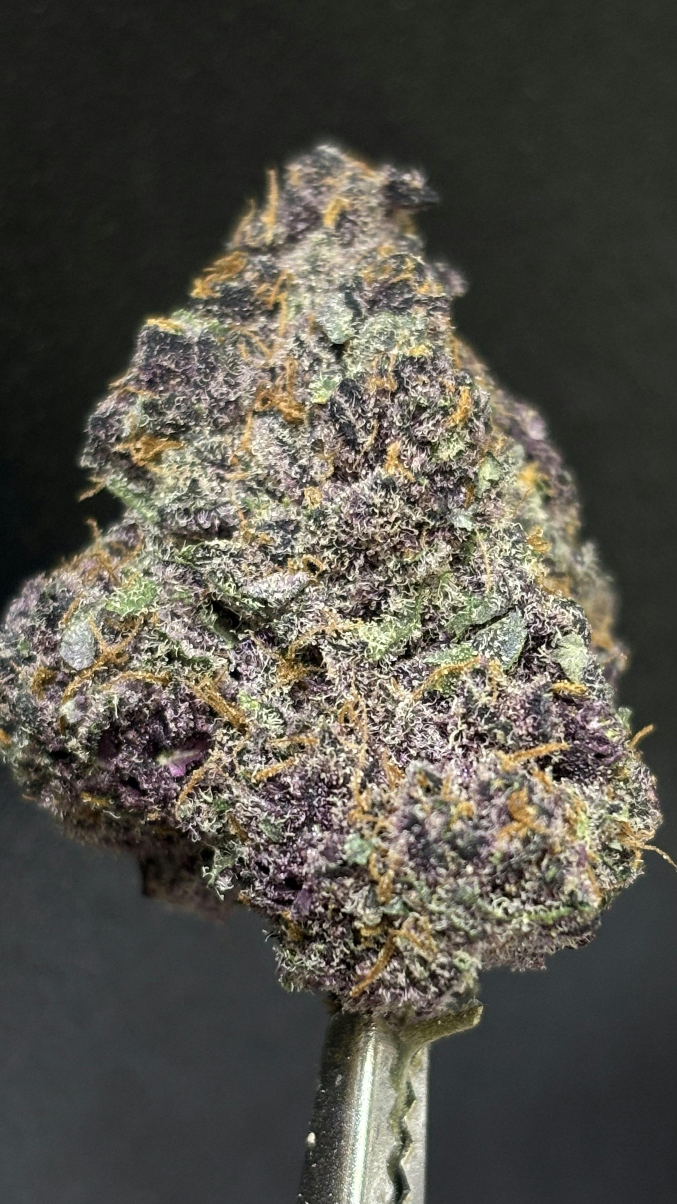 Tropical Cherry Cookies *TIER 1* (TAX INCLUDED) Cult. Okie Cultivator