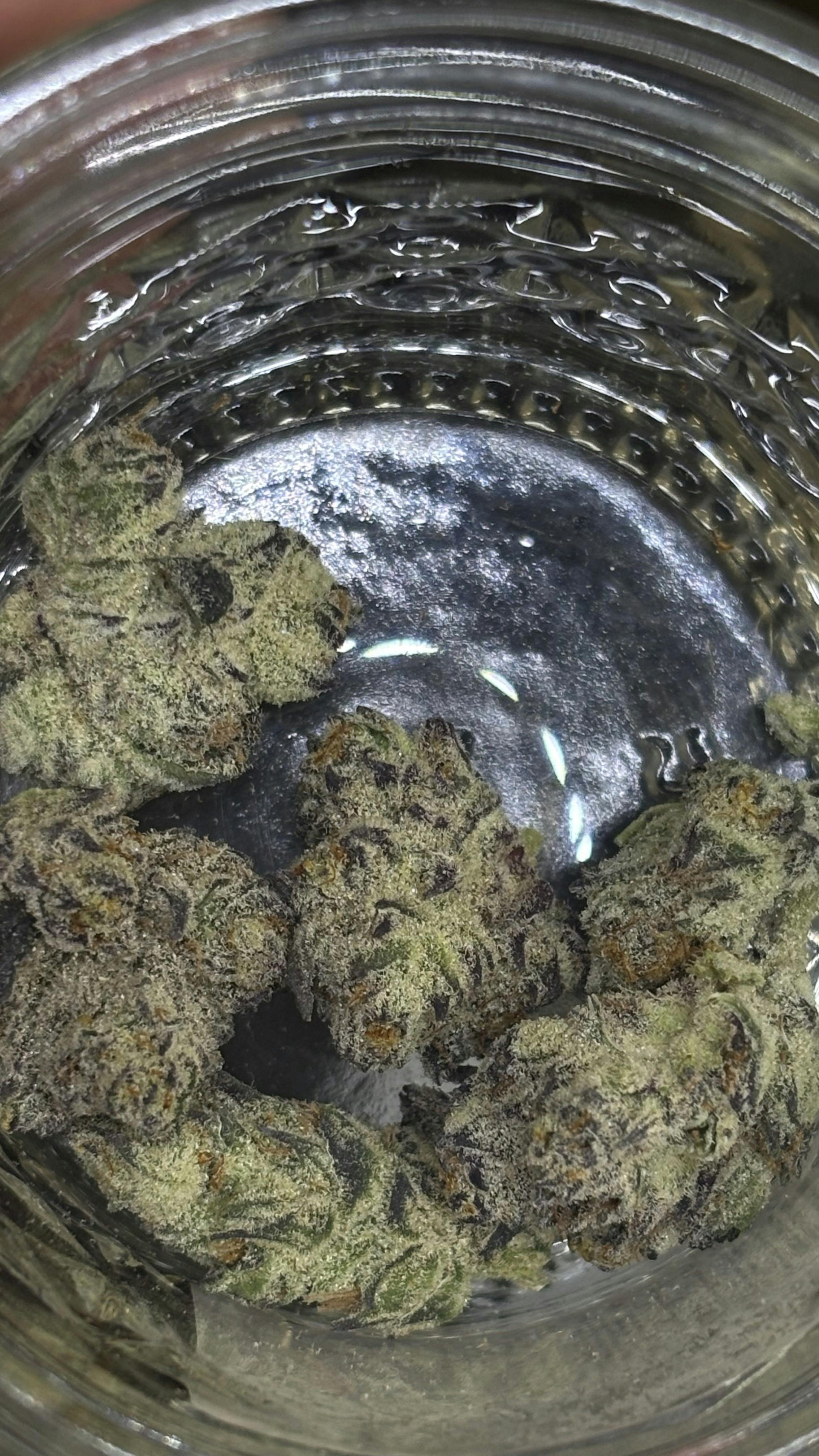 Kanobi Sunset *TIER 3* (TAX INCLUDED) Cult. Noble Cannabis *PREPACKED IN 1/4'S*