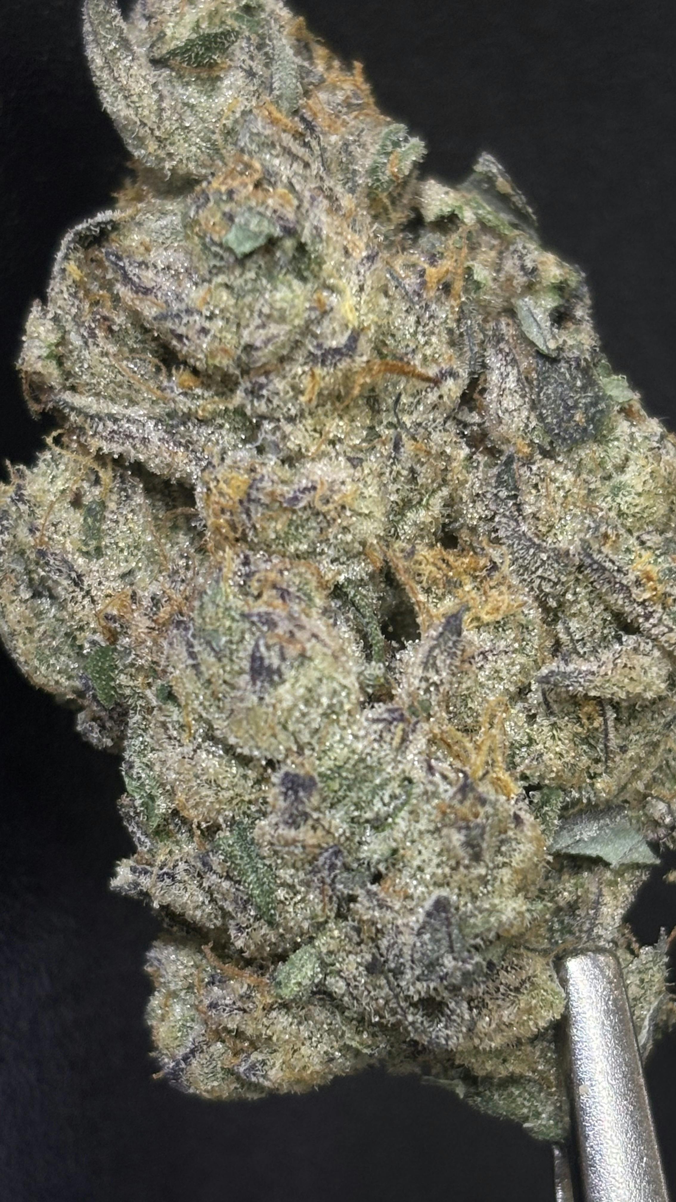 Sour Candylope x Capped Out #12 *TIER 1* (TAX INCLUDED) Cult. Spaceship