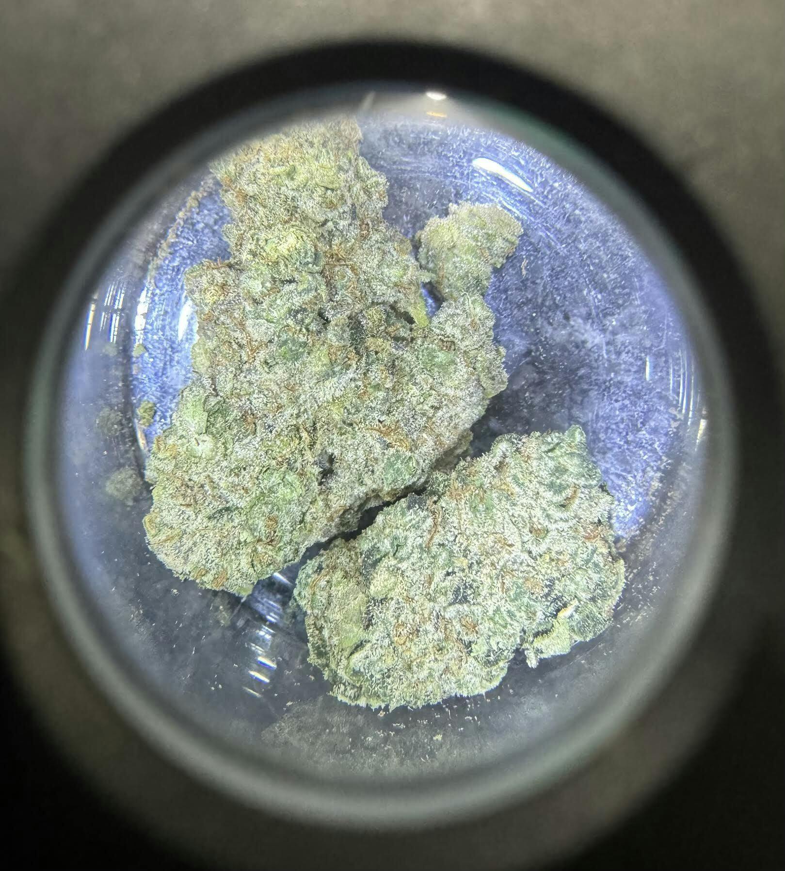 LAUGHING GAS - 1/8THS
