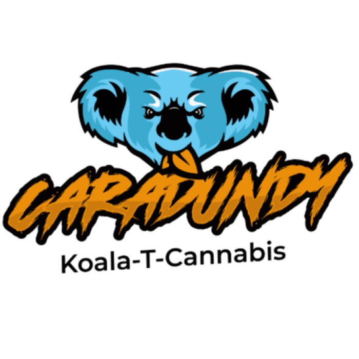 nilla frost | Disposable | 0.5g by Caradundy