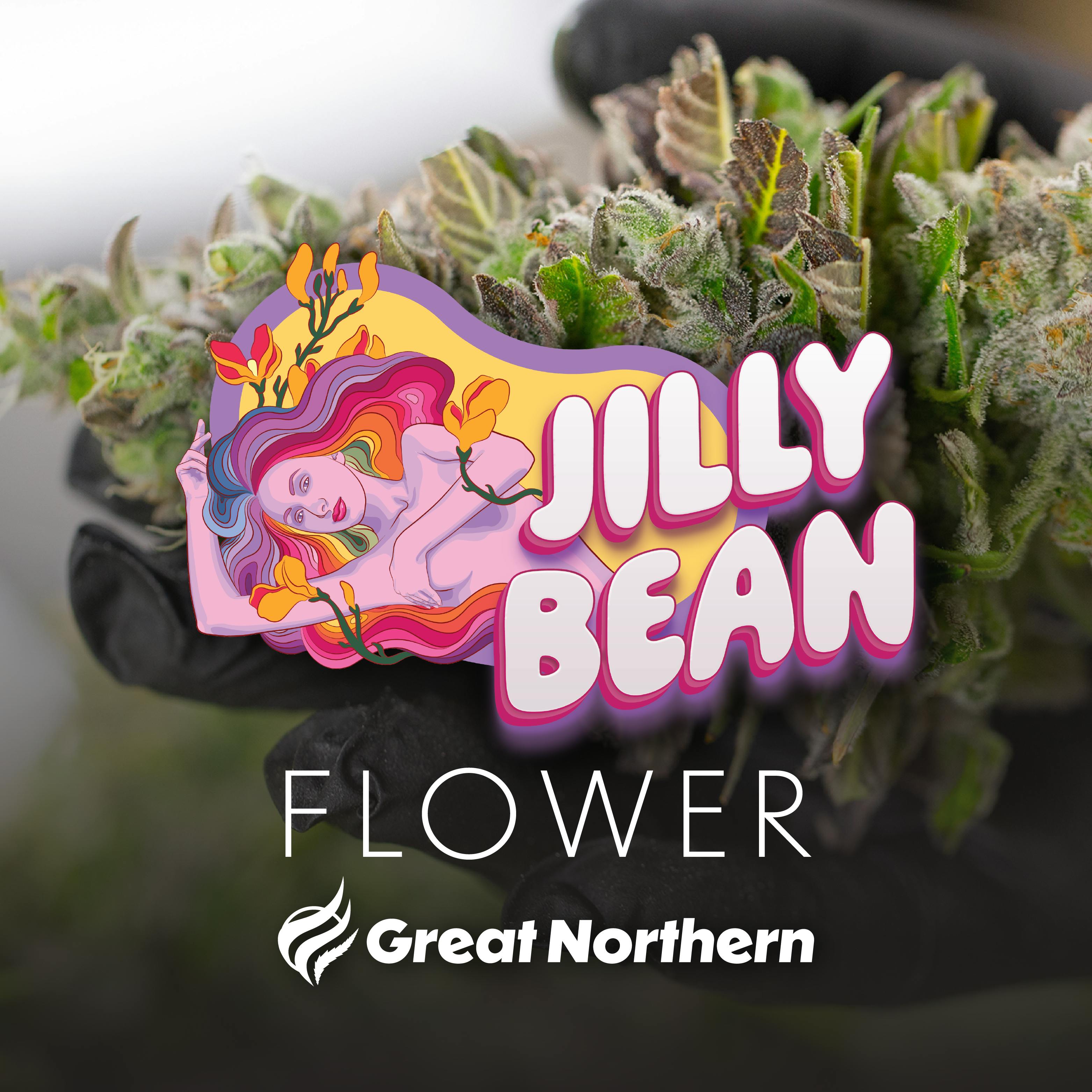 GNC Jilly Bean DELI Flower (H)