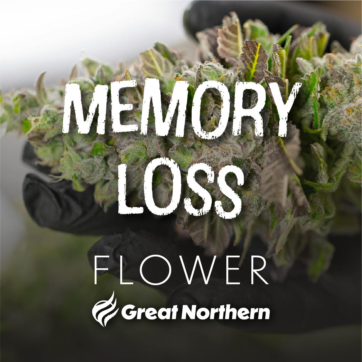 GNC Memory Loss DELI Flower (S)