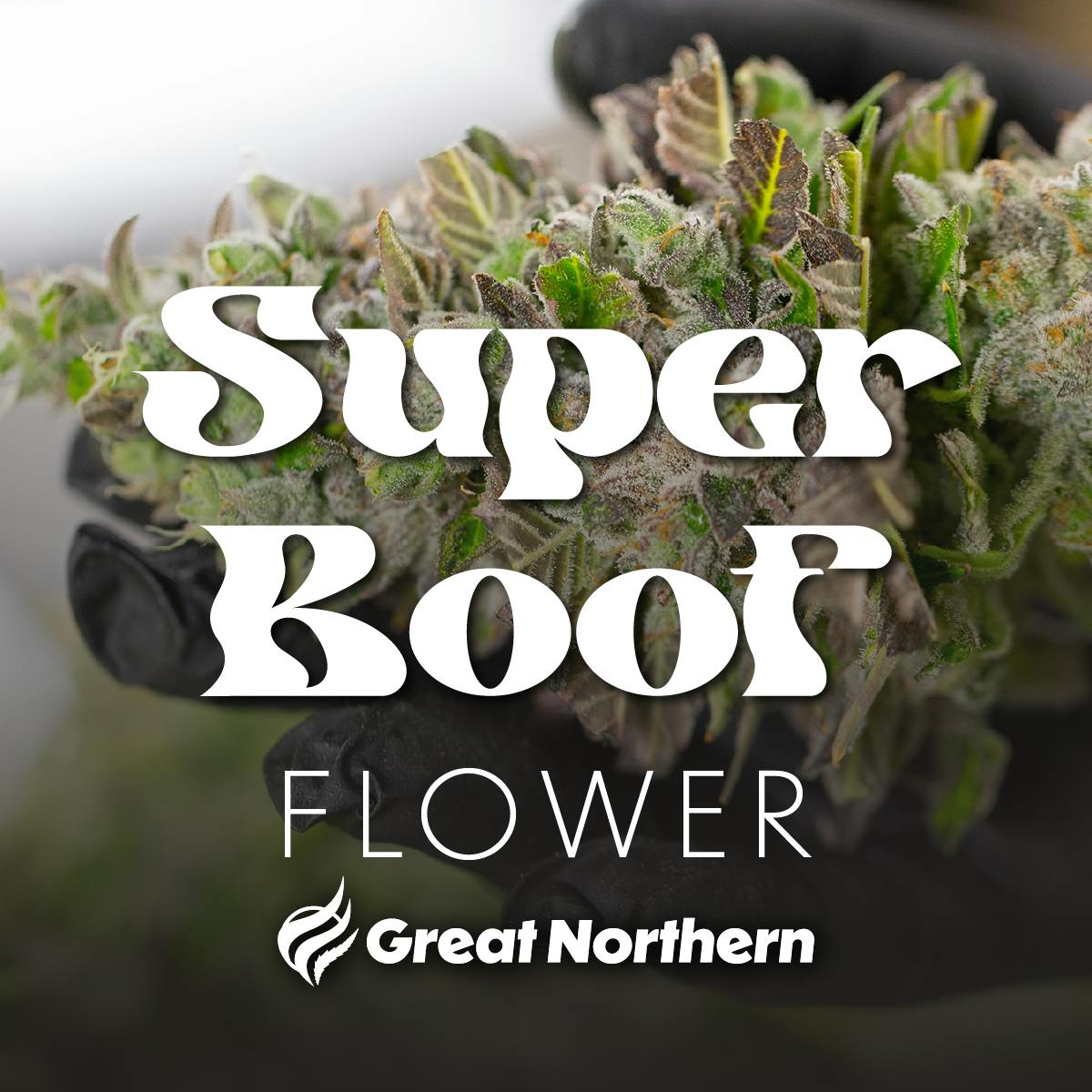 GNC Super Boof DELI Flower