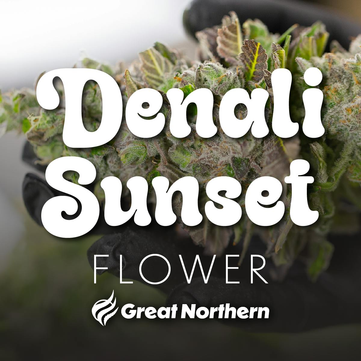 GNC Denali Sunset DELI Flower (I)