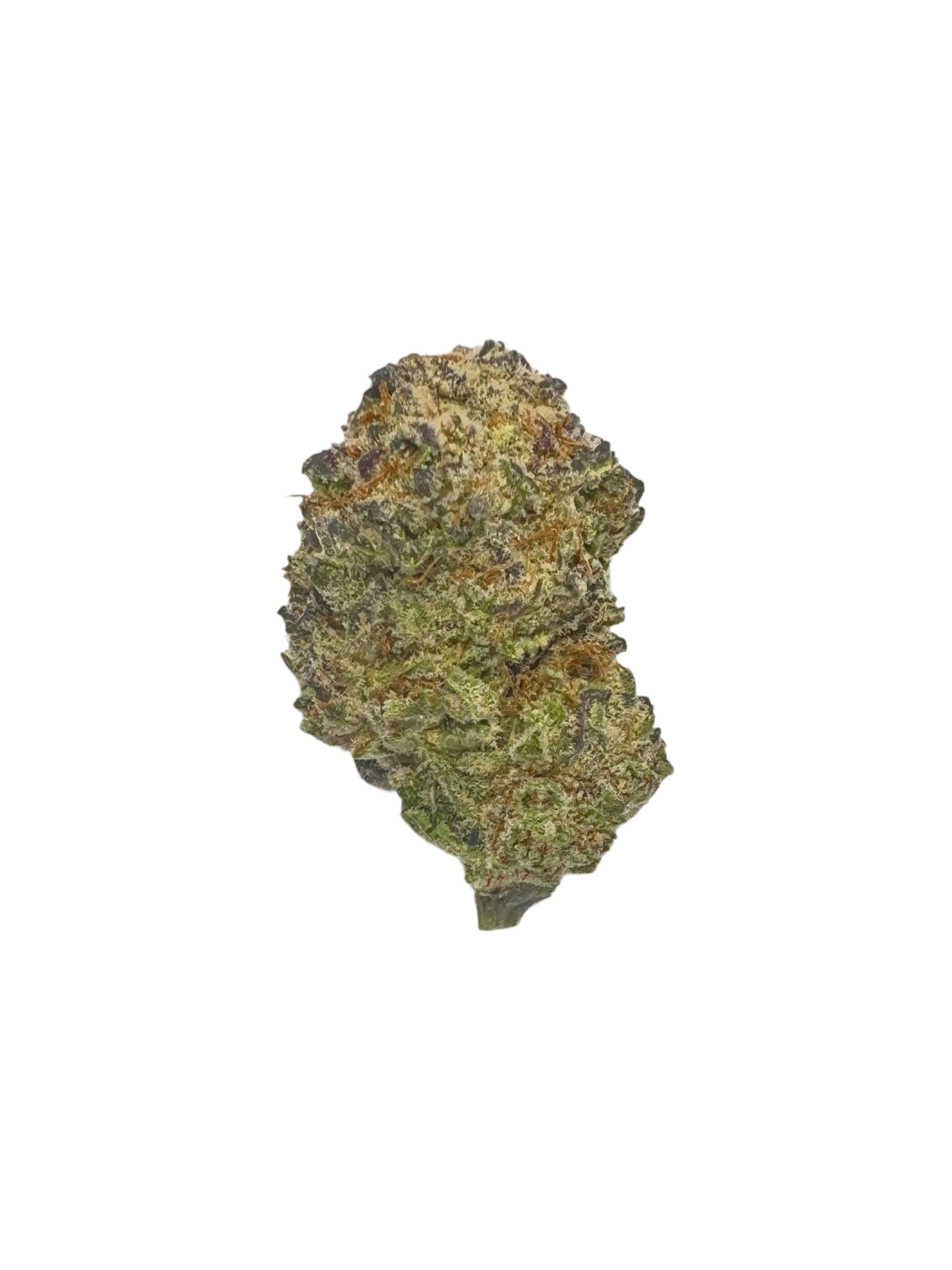 Pink Champagne Bx - In And Out Of The Garden We Grow at indico