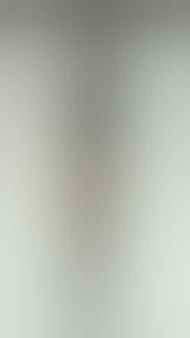 Skywalker OG Distillate Cartridge