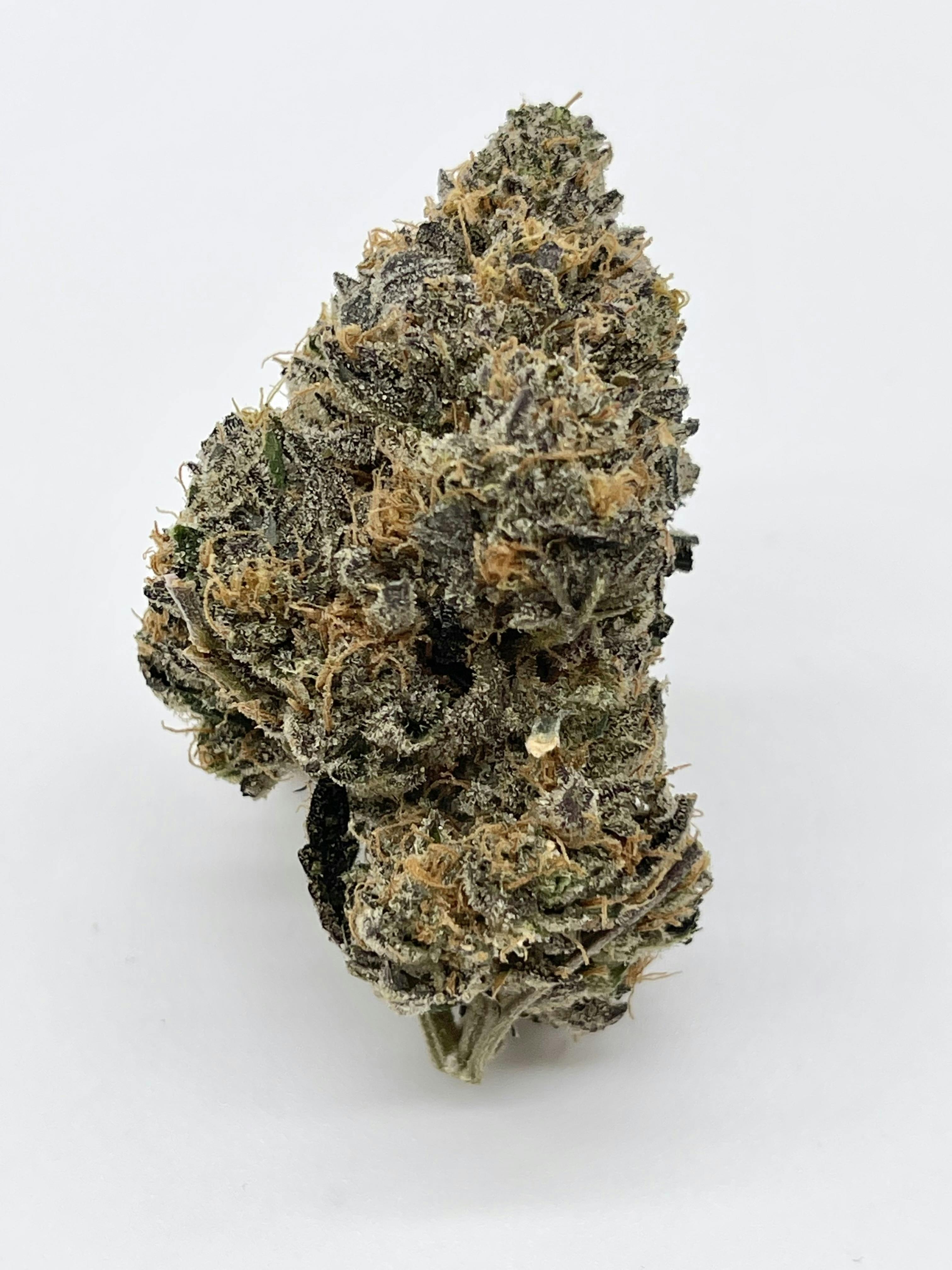 Kind Guy Farms: Garlic Cookies ($100 Ounces) at Kind Guy Patient Care Center